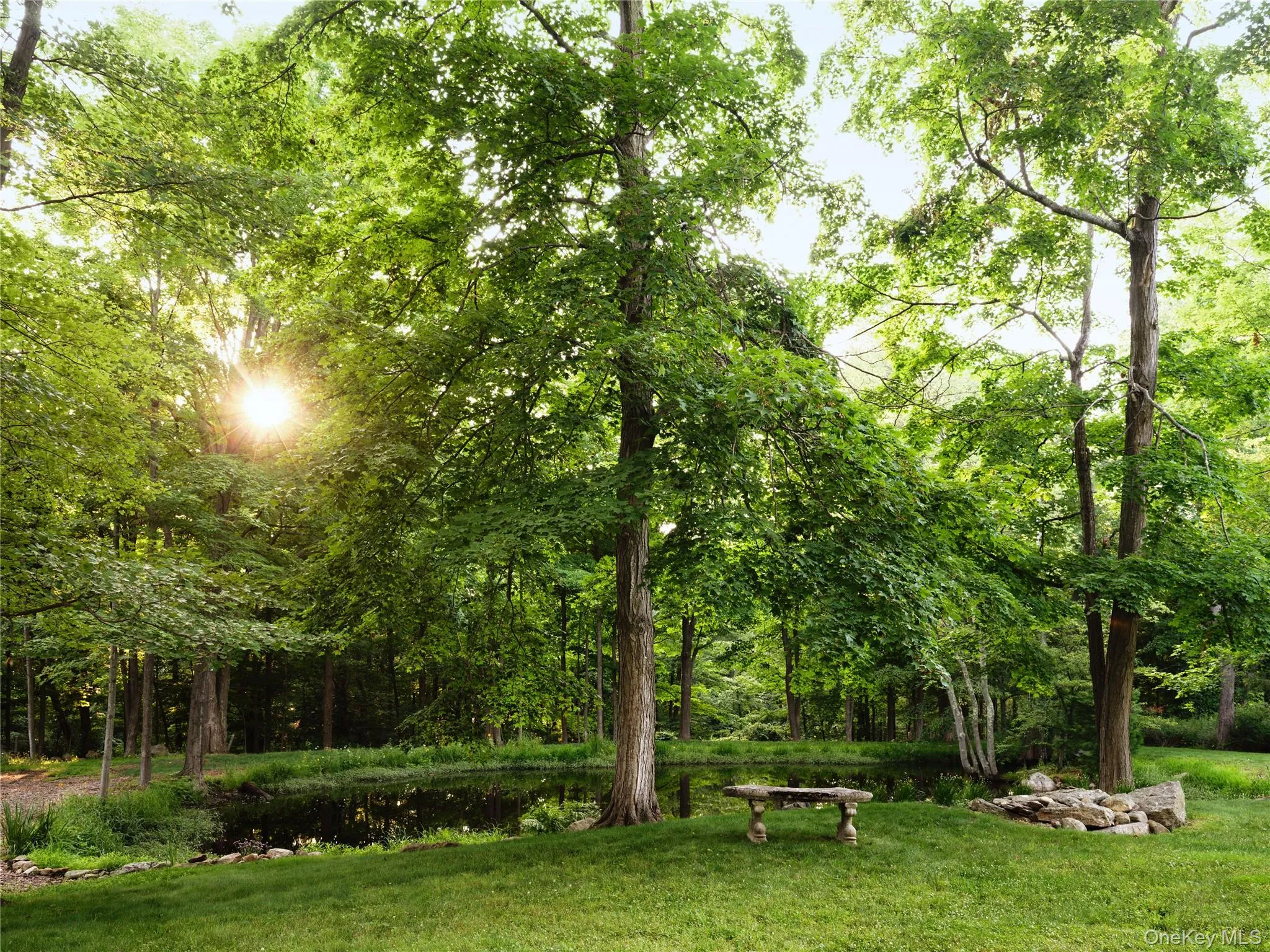 156 Old Stone Hill Road, Pound Ridge, NY, 4 Bedrooms Bedrooms, 14 Rooms Rooms,3 BathroomsBathrooms,Residential,For Rent,Old Stone Hill,0,1032314 156 Old Stone Hill Road, Pound Ridge, NY, 4 Bedrooms Bedrooms, 14 Rooms Rooms,3 BathroomsBathrooms,Residential,For Rent,Old Stone Hill,0,1032314