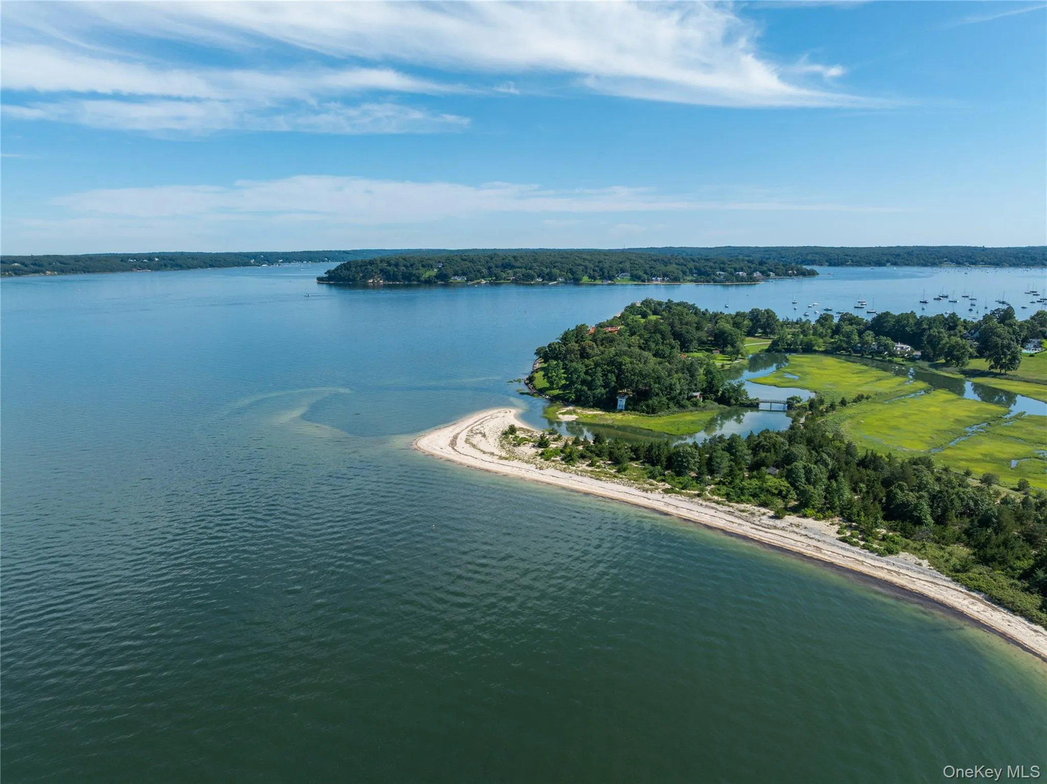 220 Beach Road, Oyster Bay, NY, 7 Bedrooms Bedrooms, 12 Rooms Rooms,9 BathroomsBathrooms,Residential,For Rent,Beach,0,1032317 220 Beach Road, Oyster Bay, NY, 7 Bedrooms Bedrooms, 12 Rooms Rooms,9 BathroomsBathrooms,Residential,For Rent,Beach,0,1032317