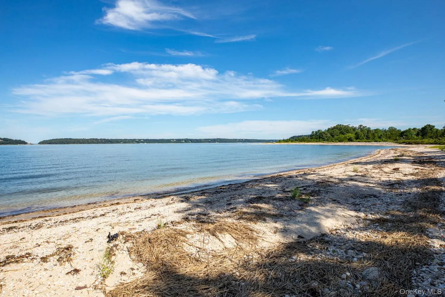 220 Beach Road, Oyster Bay, NY, 7 Bedrooms Bedrooms, 12 Rooms Rooms,9 BathroomsBathrooms,Residential,For Rent,Beach,0,1032317 220 Beach Road, Oyster Bay, NY, 7 Bedrooms Bedrooms, 12 Rooms Rooms,9 BathroomsBathrooms,Residential,For Rent,Beach,0,1032317
