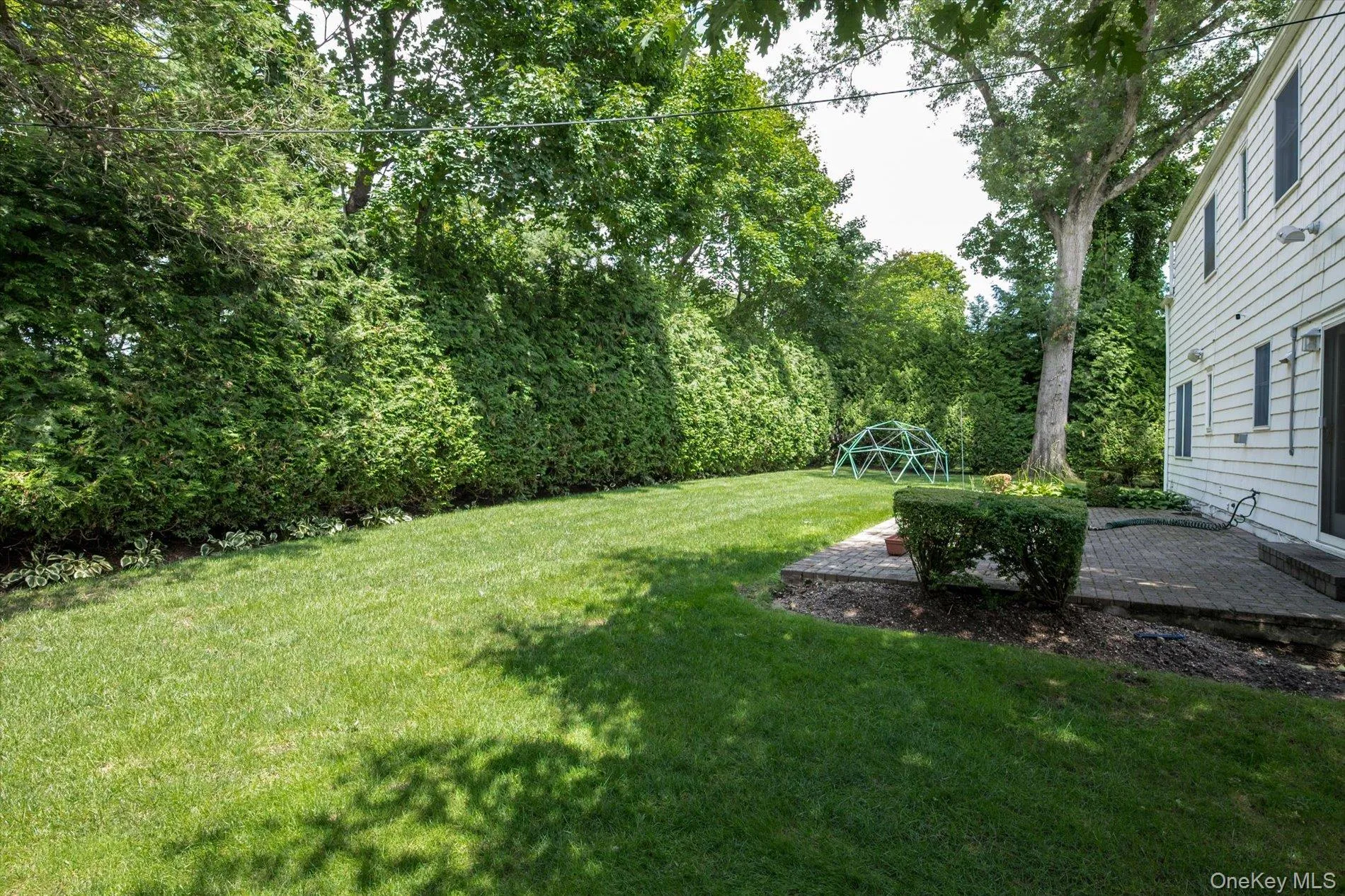 surrounded by privacy hedges surrounded by privacy hedges