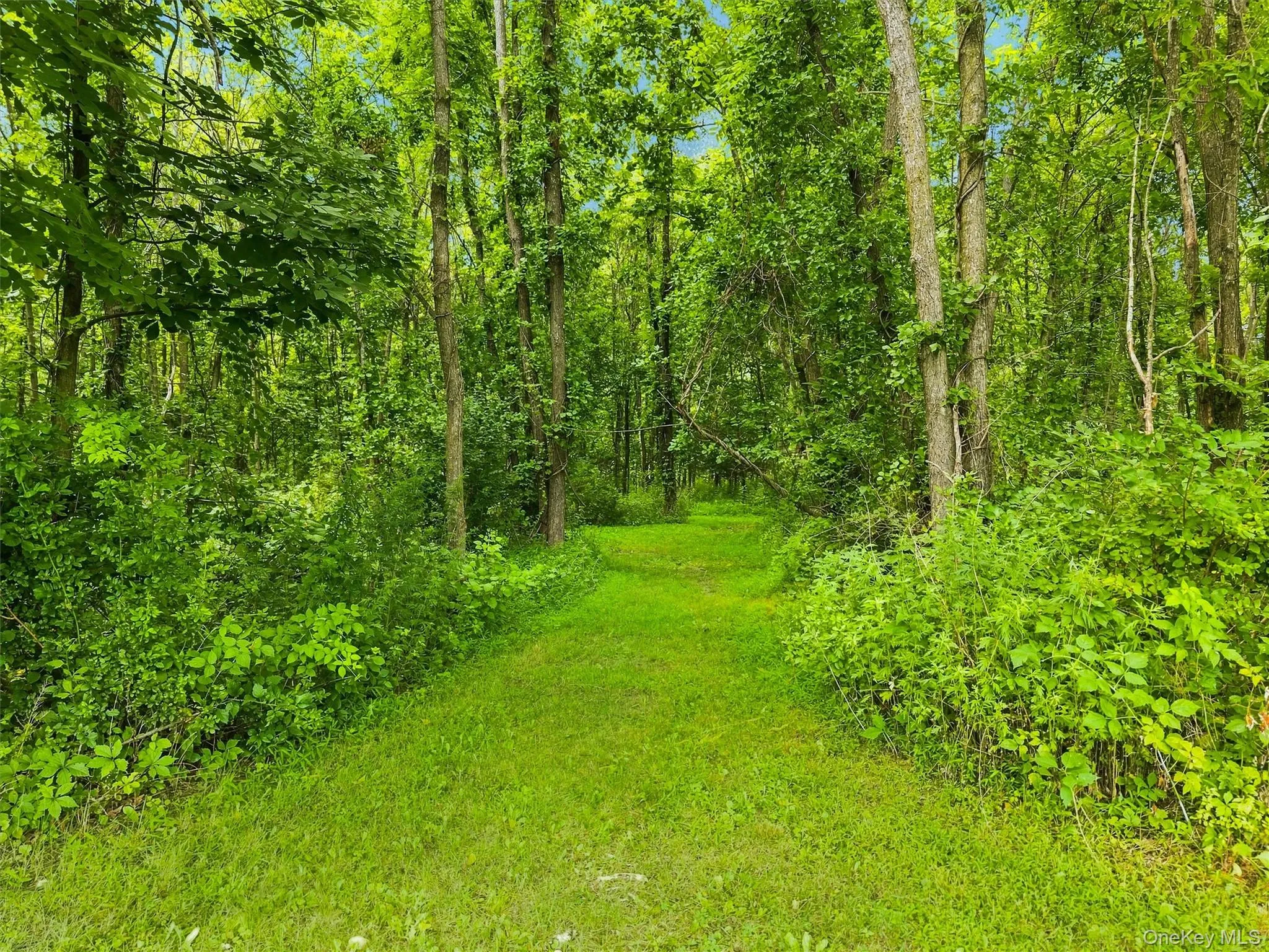 7 Seaman Court, Woodbury, NY, 4 Bedrooms Bedrooms, 11 Rooms Rooms,2 BathroomsBathrooms,Residential,For Rent,Seaman,0,1032361 7 Seaman Court, Woodbury, NY, 4 Bedrooms Bedrooms, 11 Rooms Rooms,2 BathroomsBathrooms,Residential,For Rent,Seaman,0,1032361