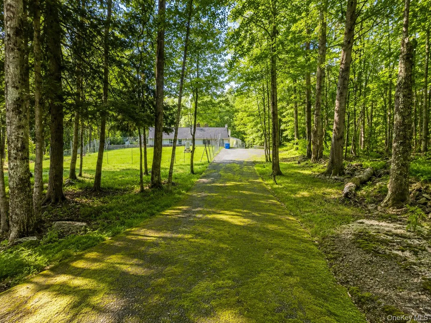 274 Grey Road, Fallsburg, NY, 4 Bedrooms Bedrooms, 9 Rooms Rooms,3 BathroomsBathrooms,Residential,For Rent,Grey,0,1032386 274 Grey Road, Fallsburg, NY, 4 Bedrooms Bedrooms, 9 Rooms Rooms,3 BathroomsBathrooms,Residential,For Rent,Grey,0,1032386