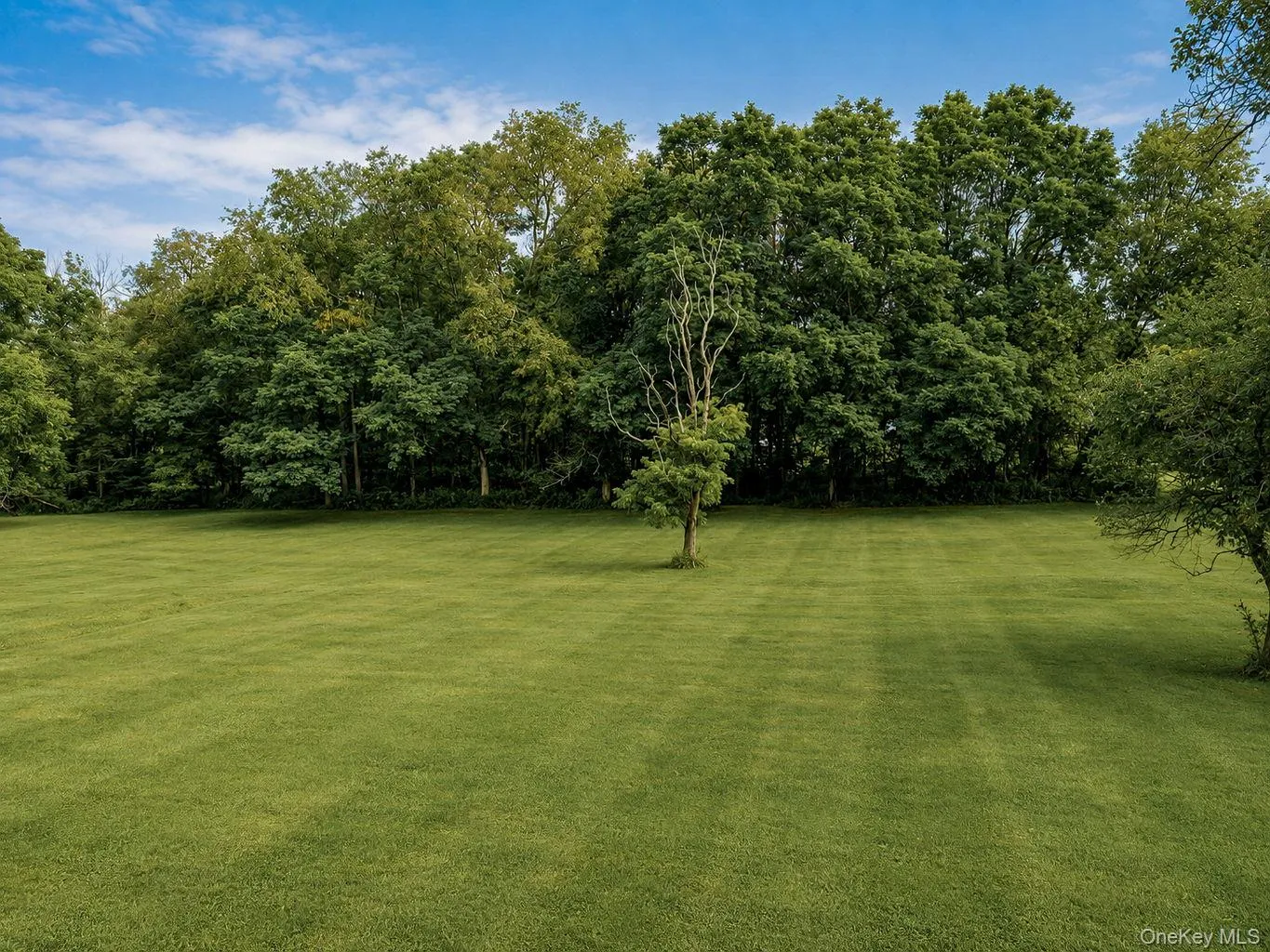 257 Fort Van Tyle Road, Greenville, NY, 3 Bedrooms Bedrooms, 6 Rooms Rooms,2 BathroomsBathrooms,Residential,For Rent,Fort Van Tyle,0,1032400 257 Fort Van Tyle Road, Greenville, NY, 3 Bedrooms Bedrooms, 6 Rooms Rooms,2 BathroomsBathrooms,Residential,For Rent,Fort Van Tyle,0,1032400