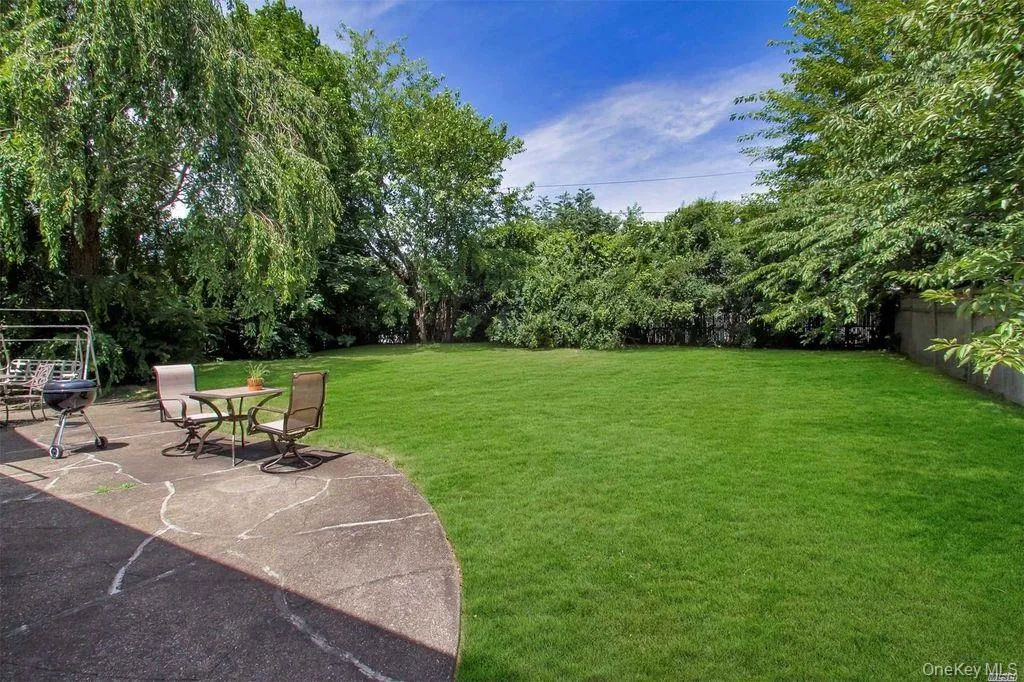 Backyard Backyard