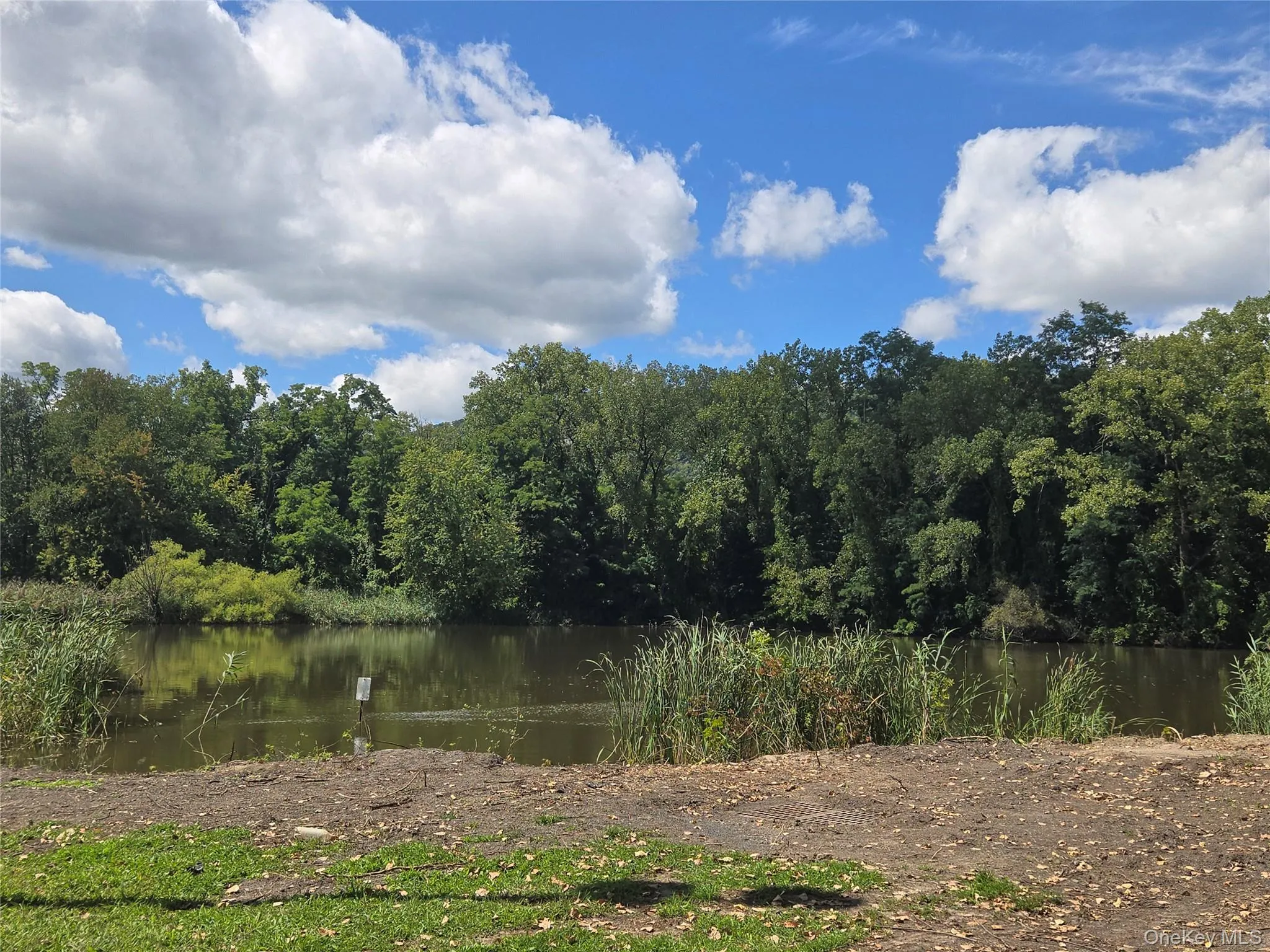 PUBLIC POND IN WALKING DISTANCE FROM HOUSE PUBLIC POND IN WALKING DISTANCE FROM HOUSE