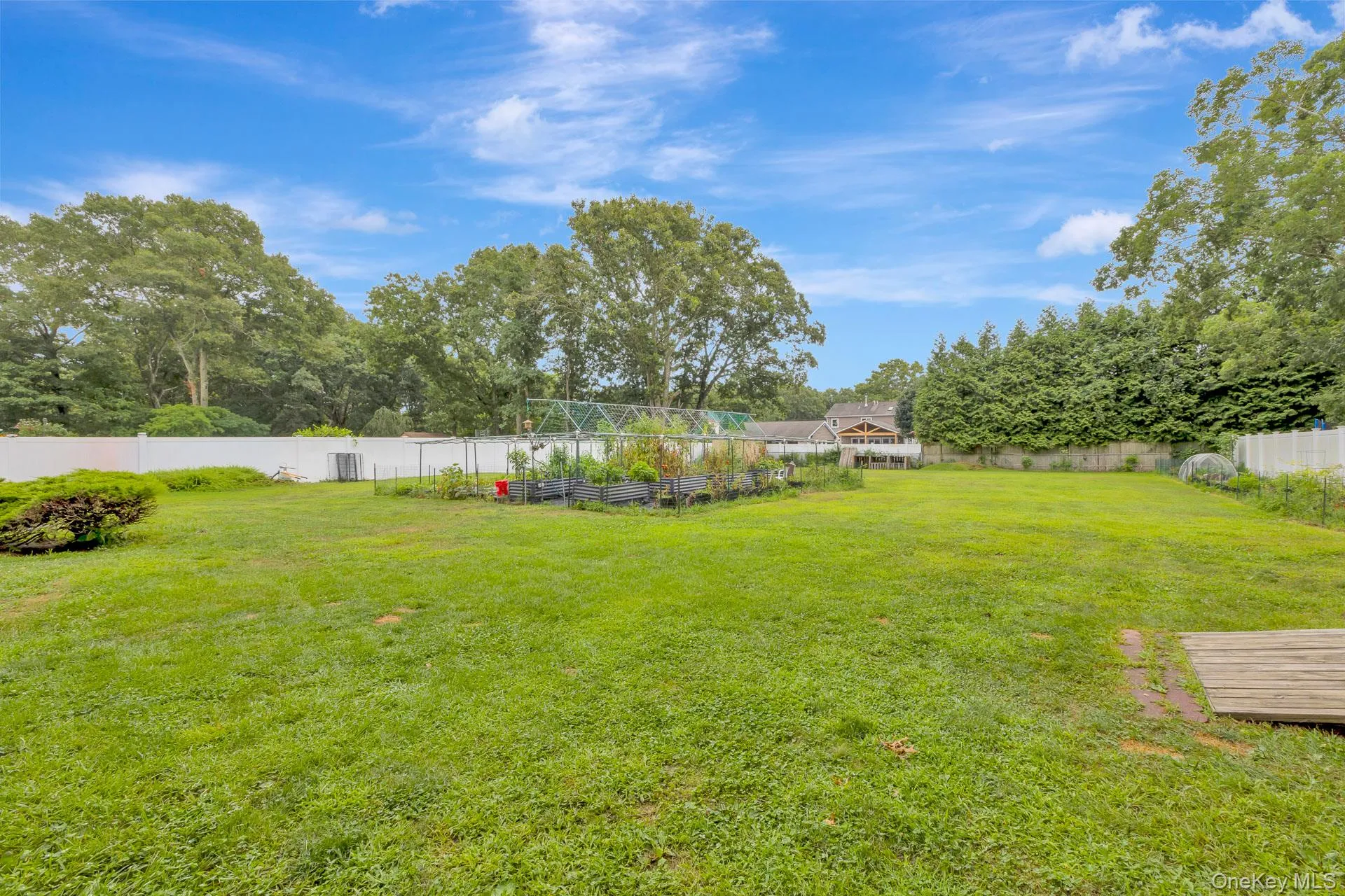 backyard backyard