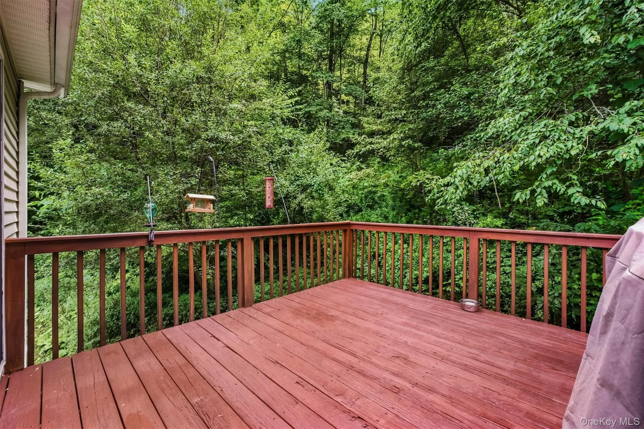 Surrounded by nature-how about adding a hot tub Surrounded by nature-how about adding a hot tub