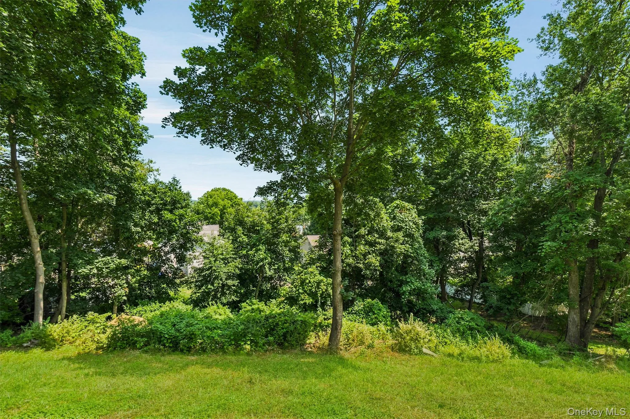 9 Overlook Terrace, Montgomery, NY, 4 Bedrooms Bedrooms, 8 Rooms Rooms,3 BathroomsBathrooms,Residential,For Rent,Overlook,0,1032471 9 Overlook Terrace, Montgomery, NY, 4 Bedrooms Bedrooms, 8 Rooms Rooms,3 BathroomsBathrooms,Residential,For Rent,Overlook,0,1032471