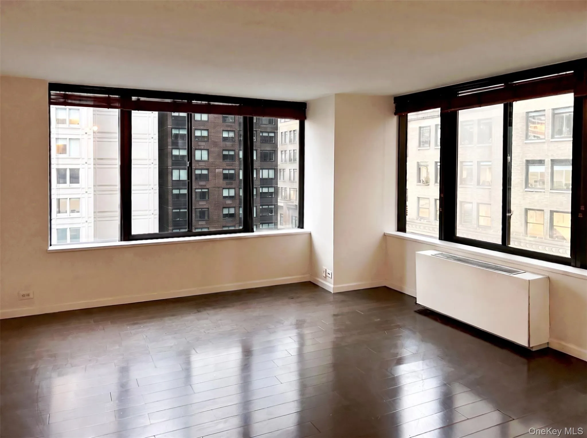 Large living room Large living room