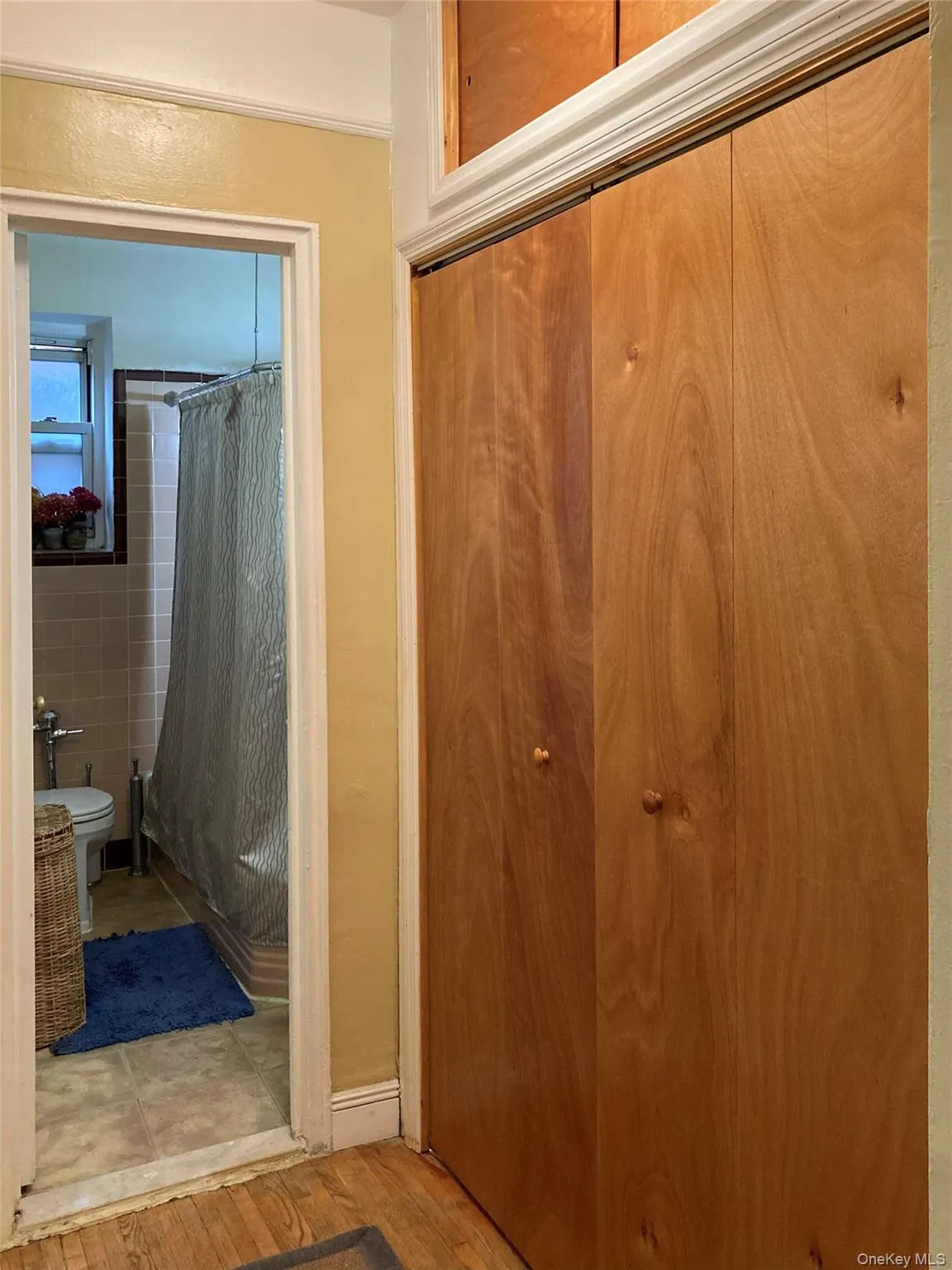 61-41 Saunders Street, New York, NY, 2 Rooms Rooms,1 BathroomBathrooms,Residential,For Rent,Saunders,0,1032514 61-41 Saunders Street, New York, NY, 2 Rooms Rooms,1 BathroomBathrooms,Residential,For Rent,Saunders,0,1032514