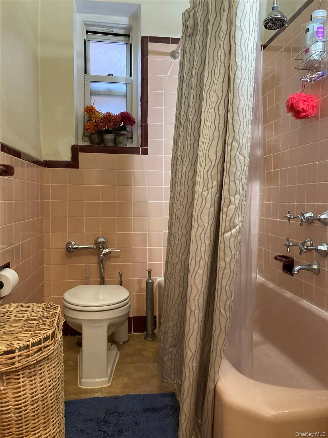 61-41 Saunders Street, New York, NY, 2 Rooms Rooms,1 BathroomBathrooms,Residential,For Rent,Saunders,0,1032514 61-41 Saunders Street, New York, NY, 2 Rooms Rooms,1 BathroomBathrooms,Residential,For Rent,Saunders,0,1032514