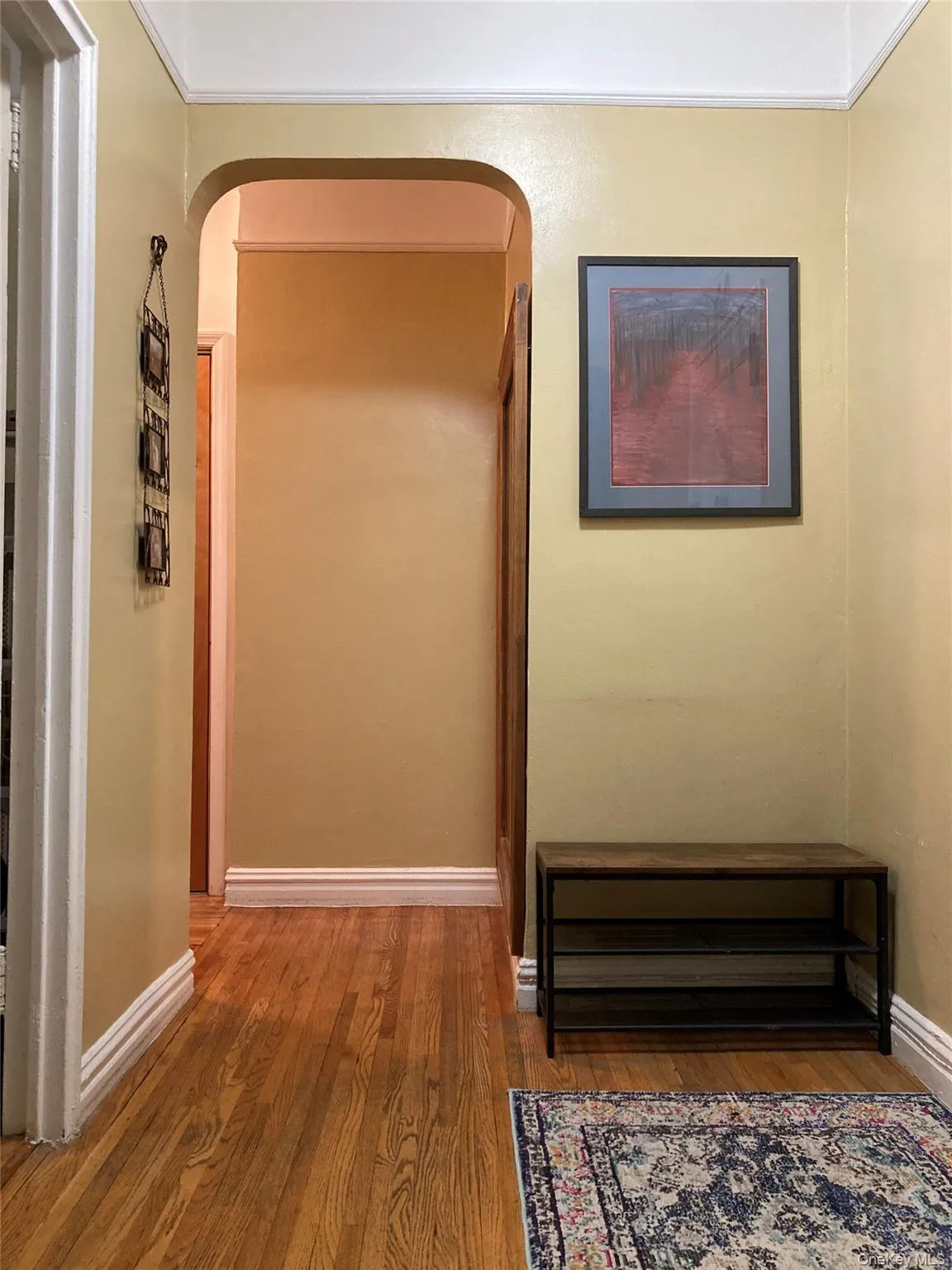 61-41 Saunders Street, New York, NY, 2 Rooms Rooms,1 BathroomBathrooms,Residential,For Rent,Saunders,0,1032514 61-41 Saunders Street, New York, NY, 2 Rooms Rooms,1 BathroomBathrooms,Residential,For Rent,Saunders,0,1032514