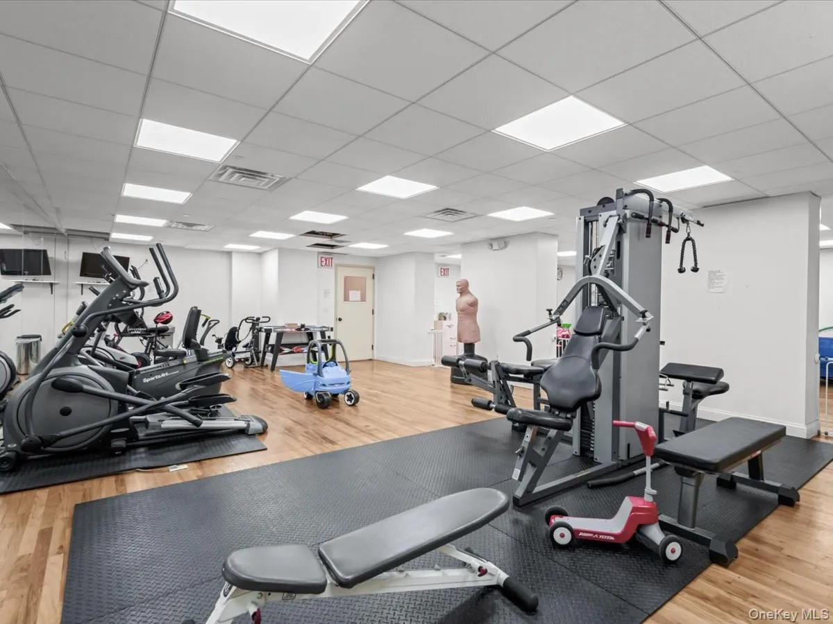 143 41 84th Drive, New York, NY, 1 Bedroom Bedrooms, 4 Rooms Rooms,1 BathroomBathrooms,Residential,For Rent,84th,0,1032531 143 41 84th Drive, New York, NY, 1 Bedroom Bedrooms, 4 Rooms Rooms,1 BathroomBathrooms,Residential,For Rent,84th,0,1032531