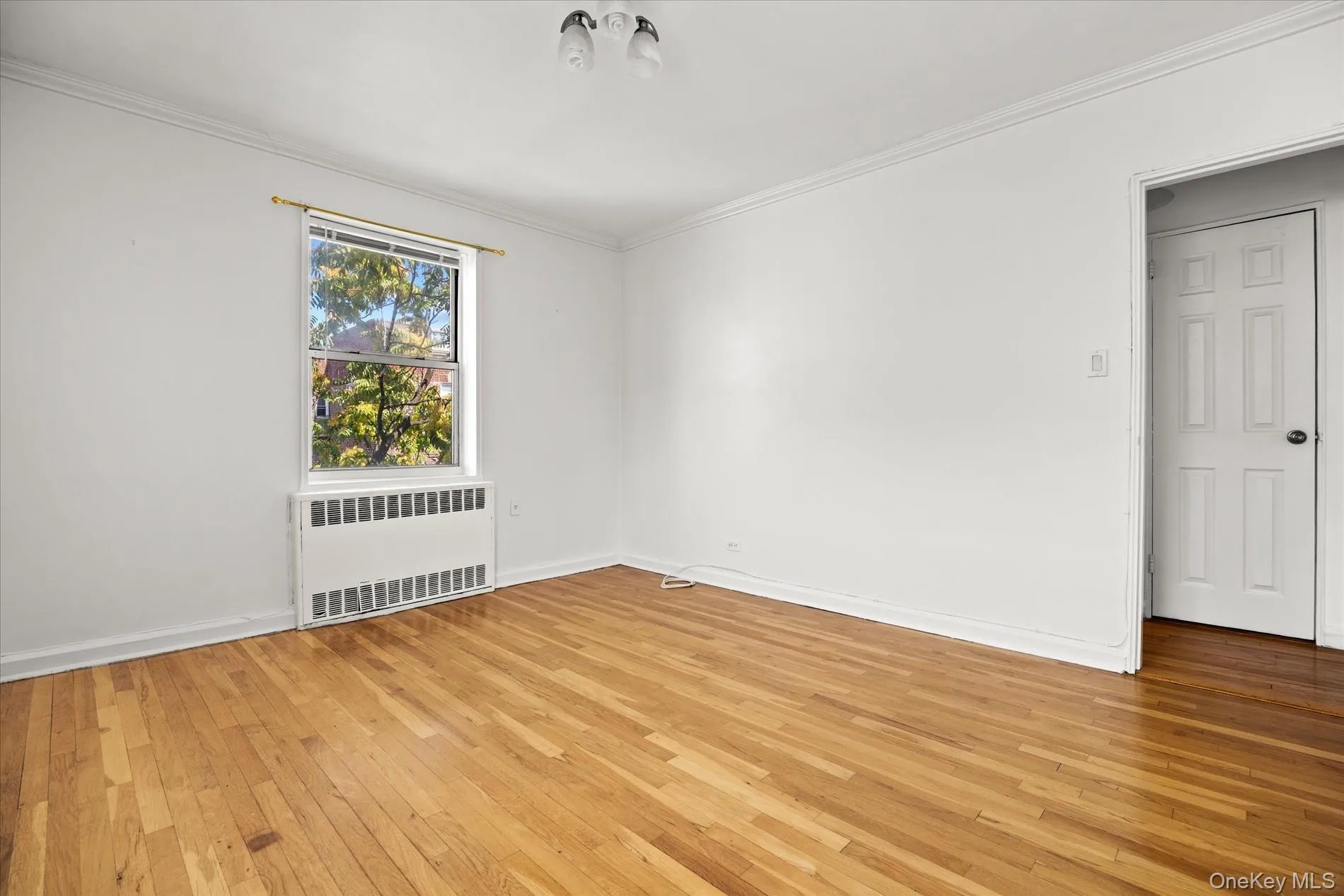 81-15 35th Avenue, New York, NY, 1 Bedroom Bedrooms, 3 Rooms Rooms,1 BathroomBathrooms,Residential,For Rent,35th,0,1032537 81-15 35th Avenue, New York, NY, 1 Bedroom Bedrooms, 3 Rooms Rooms,1 BathroomBathrooms,Residential,For Rent,35th,0,1032537