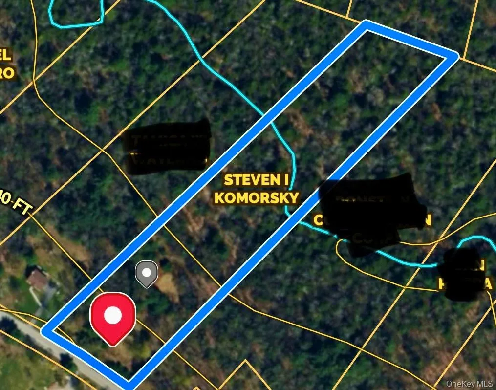Ulster Heights Road, Fallsburg, NY, ,Land,For Rent,Ulster Heights,0,1032569 Ulster Heights Road, Fallsburg, NY, ,Land,For Rent,Ulster Heights,0,1032569