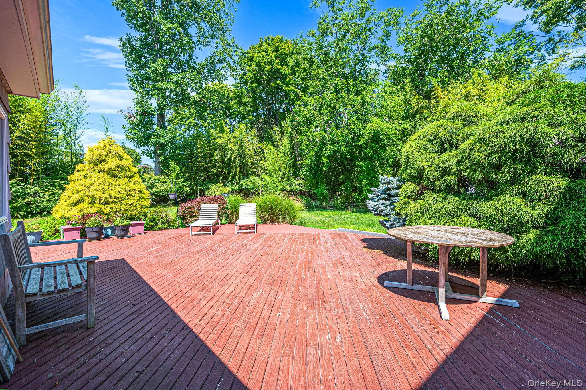 .64 Acre Lot, Room for a Pool. Deck, Awning .64 Acre Lot, Room for a Pool. Deck, Awning