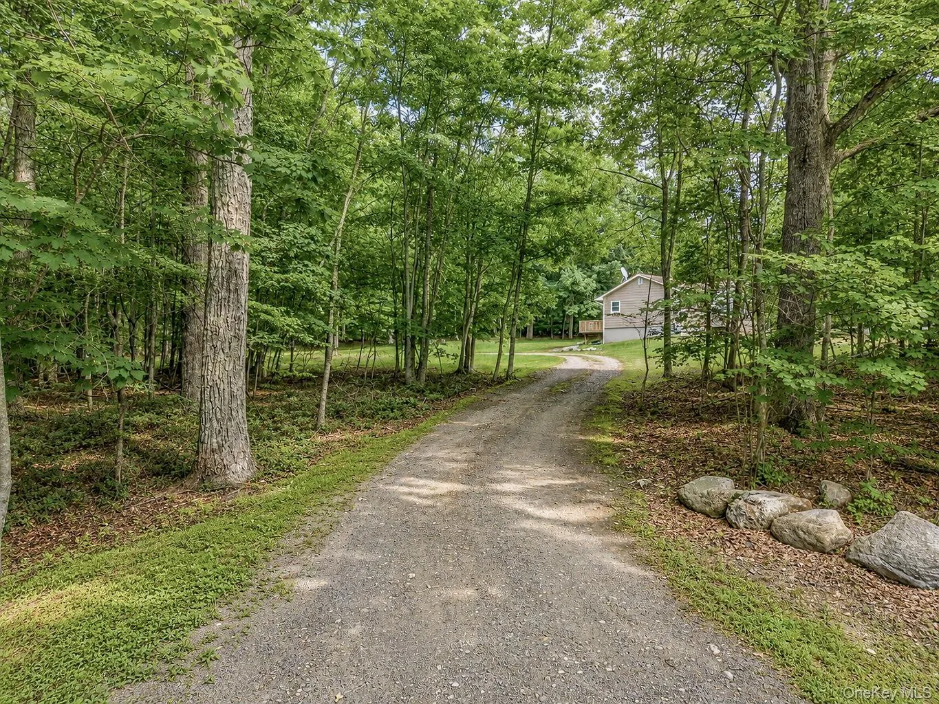 120 Basel Road, Shawangunk, NY, 3 Bedrooms Bedrooms, 7 Rooms Rooms,1 BathroomBathrooms,Residential,For Rent,Basel,0,1032604 120 Basel Road, Shawangunk, NY, 3 Bedrooms Bedrooms, 7 Rooms Rooms,1 BathroomBathrooms,Residential,For Rent,Basel,0,1032604