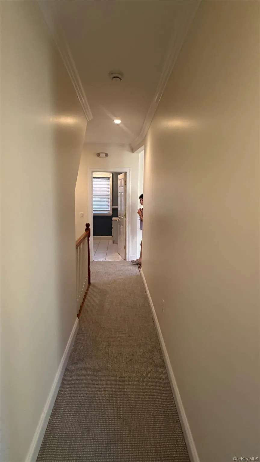 63 Harding Avenue, White Plains, NY, 2 Bedrooms Bedrooms, 4 Rooms Rooms,1 BathroomBathrooms,Residential Lease,For Rent,Harding,0,1032616 63 Harding Avenue, White Plains, NY, 2 Bedrooms Bedrooms, 4 Rooms Rooms,1 BathroomBathrooms,Residential Lease,For Rent,Harding,0,1032616
