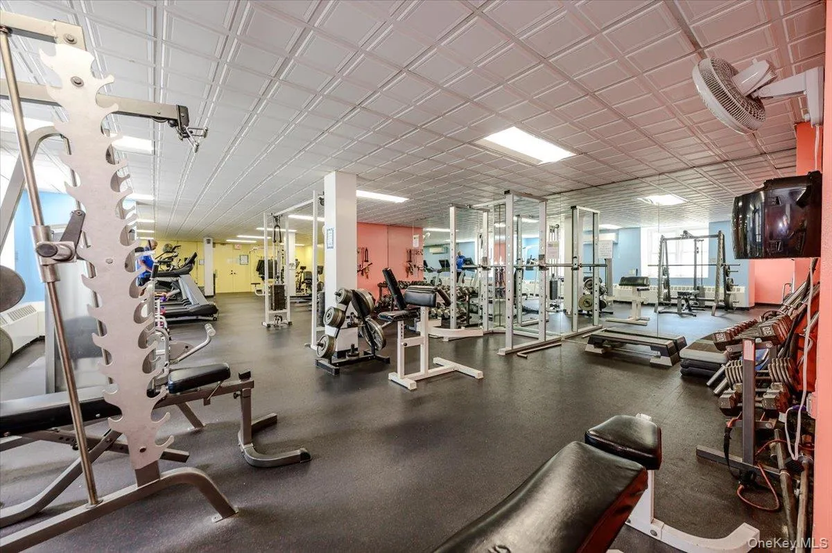 Gym Gym