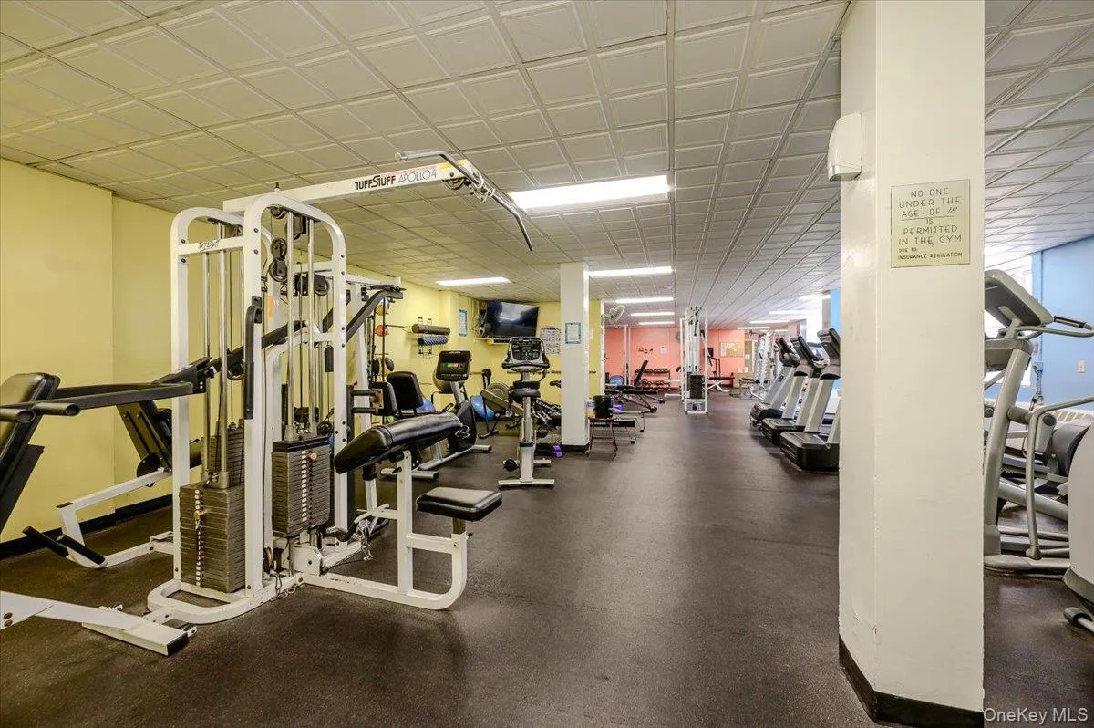 Gym Gym