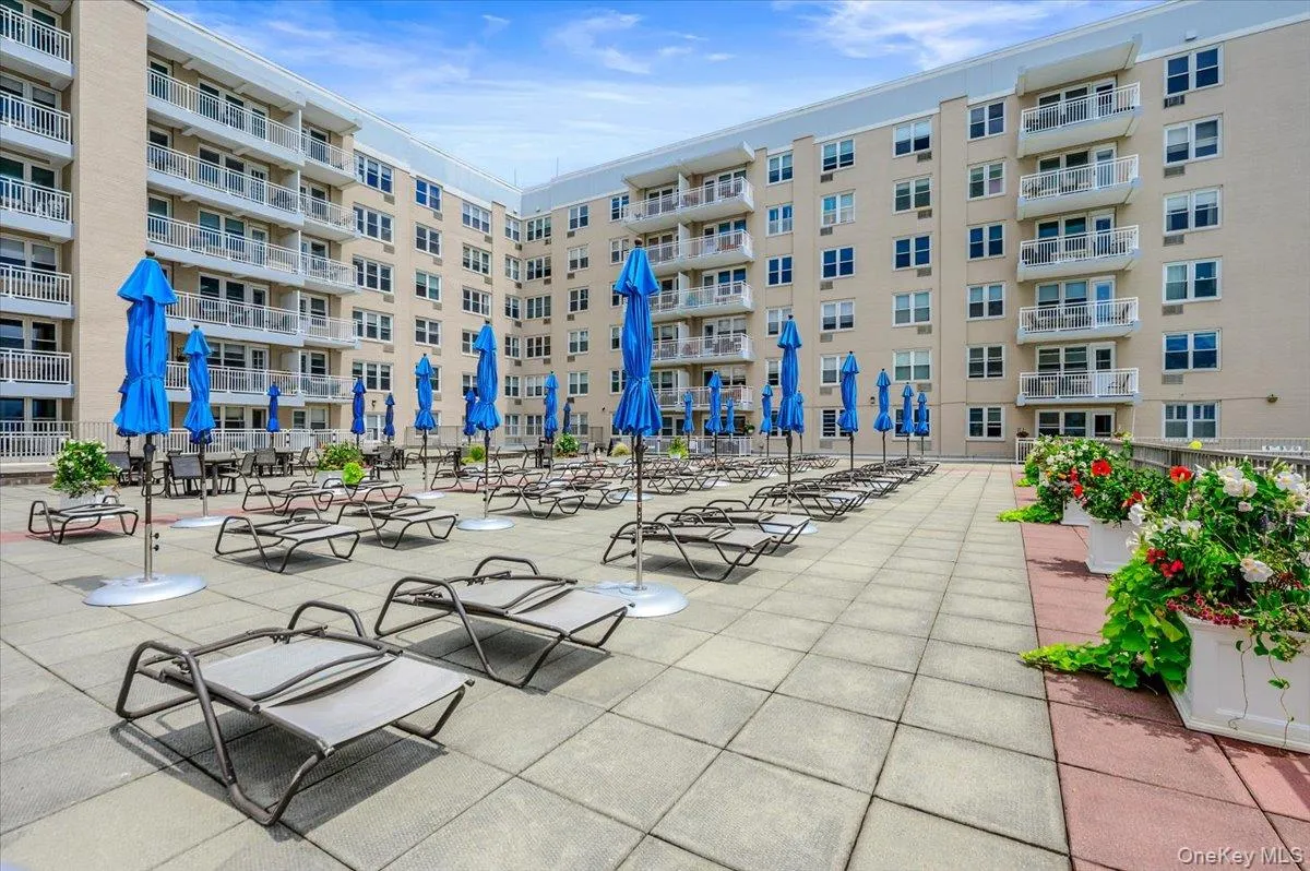 Pool Deck Pool Deck