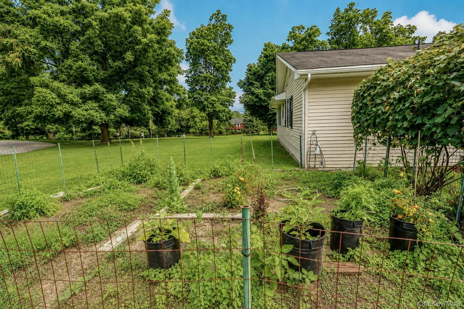 2 Schrempp Lane, Shawangunk, NY, 3 Bedrooms Bedrooms, 7 Rooms Rooms,3 BathroomsBathrooms,Residential,For Rent,Schrempp,0,1032637 2 Schrempp Lane, Shawangunk, NY, 3 Bedrooms Bedrooms, 7 Rooms Rooms,3 BathroomsBathrooms,Residential,For Rent,Schrempp,0,1032637