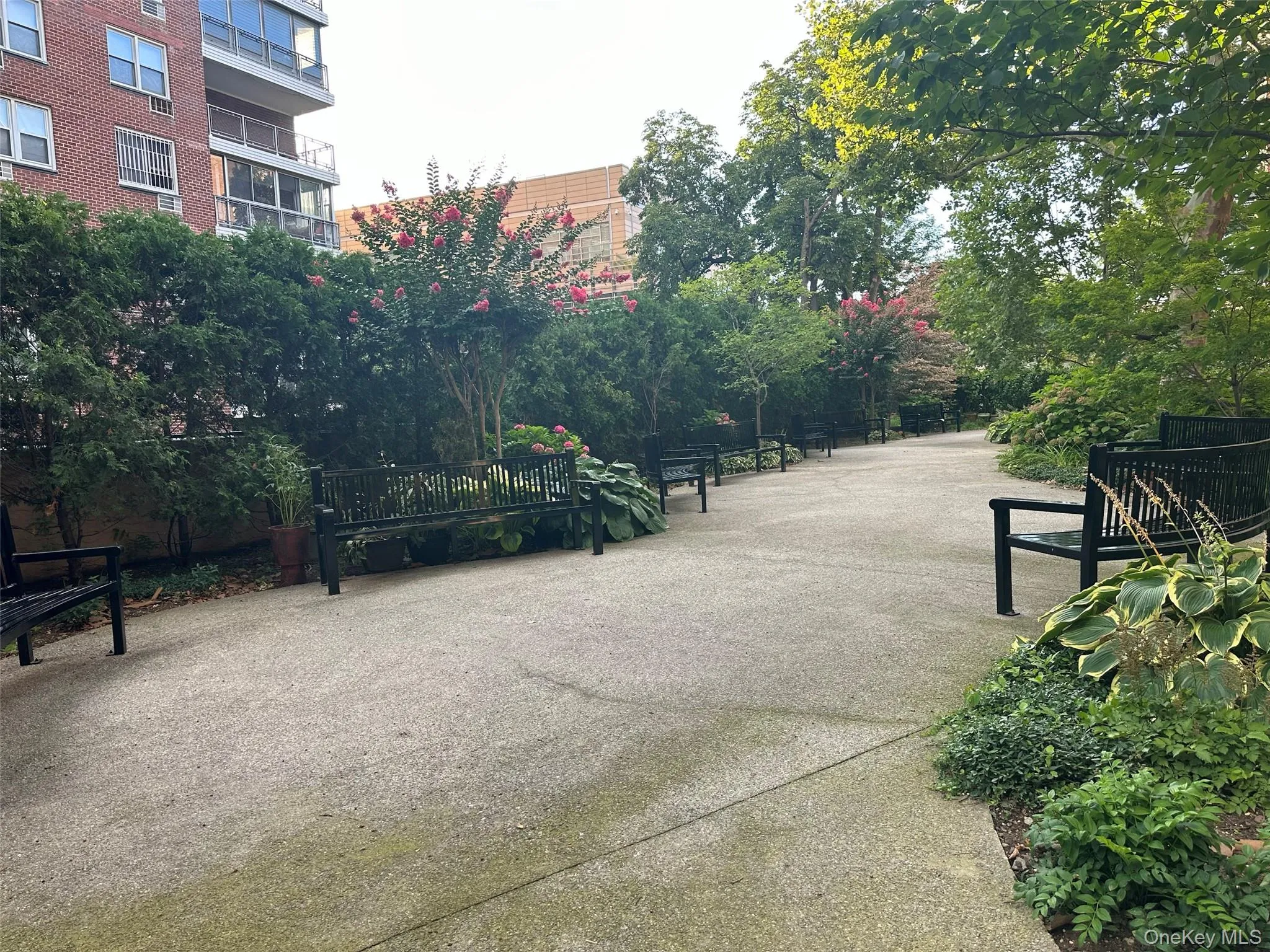 8710 51st Avenue, New York, NY, 1 Bedroom Bedrooms, 4 Rooms Rooms,1 BathroomBathrooms,Residential,For Rent,51st,0,1032676 8710 51st Avenue, New York, NY, 1 Bedroom Bedrooms, 4 Rooms Rooms,1 BathroomBathrooms,Residential,For Rent,51st,0,1032676