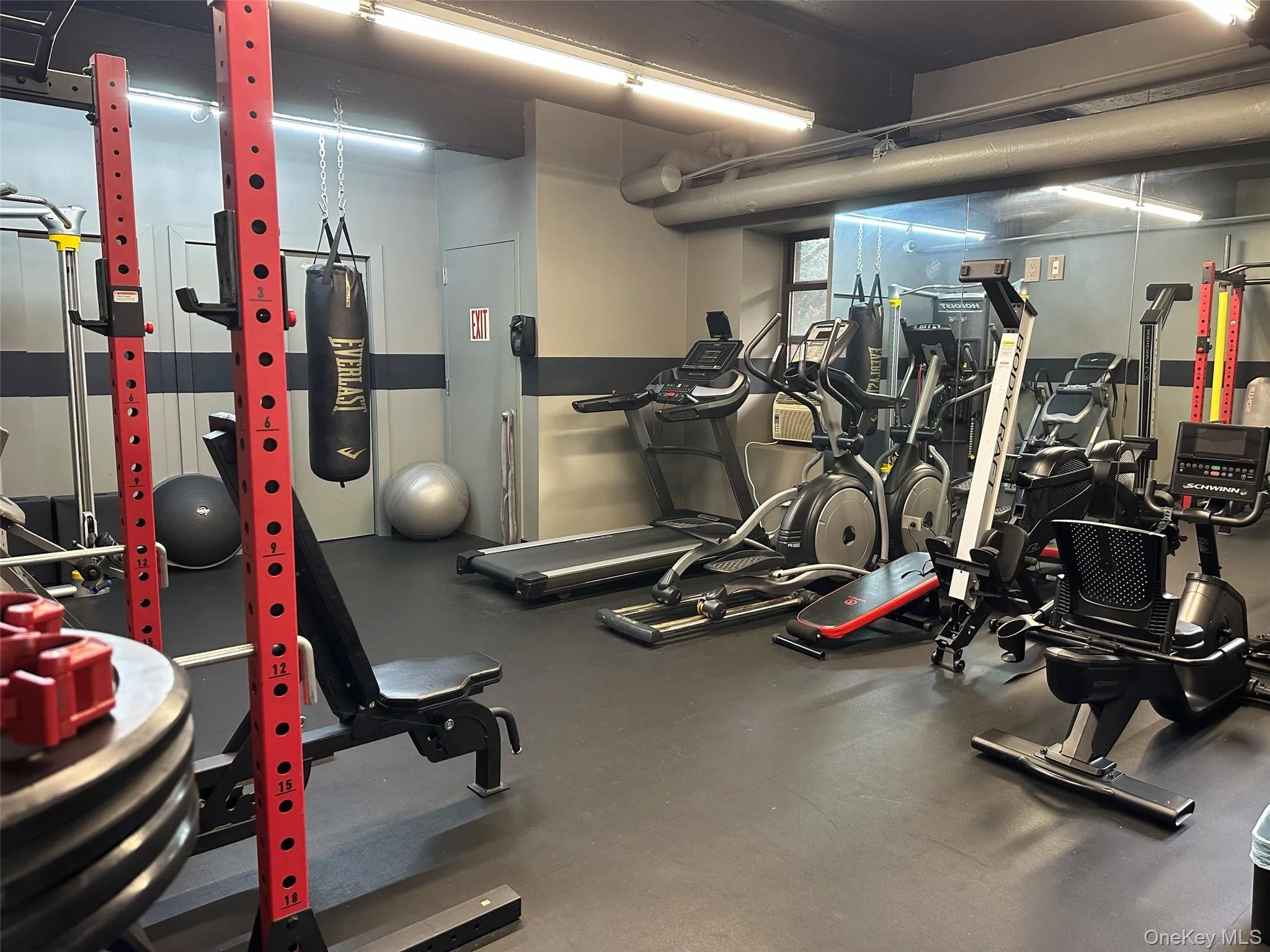8710 51st Avenue, New York, NY, 1 Bedroom Bedrooms, 4 Rooms Rooms,1 BathroomBathrooms,Residential,For Rent,51st,0,1032676 8710 51st Avenue, New York, NY, 1 Bedroom Bedrooms, 4 Rooms Rooms,1 BathroomBathrooms,Residential,For Rent,51st,0,1032676