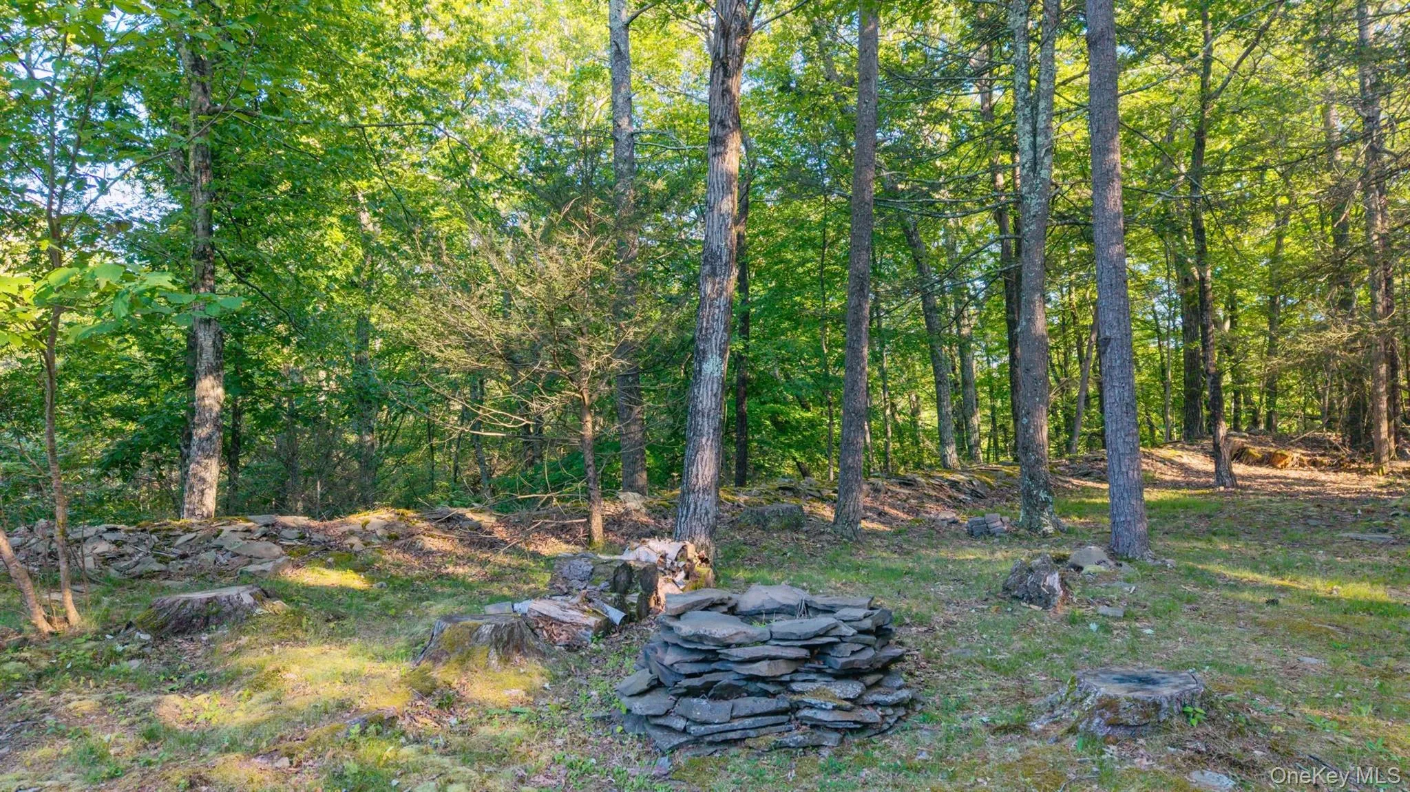 33 Cranberry Lane, Saugerties, NY, 4 Bedrooms Bedrooms, 15 Rooms Rooms,3 BathroomsBathrooms,Residential,For Rent,Cranberry,0,1032732 33 Cranberry Lane, Saugerties, NY, 4 Bedrooms Bedrooms, 15 Rooms Rooms,3 BathroomsBathrooms,Residential,For Rent,Cranberry,0,1032732