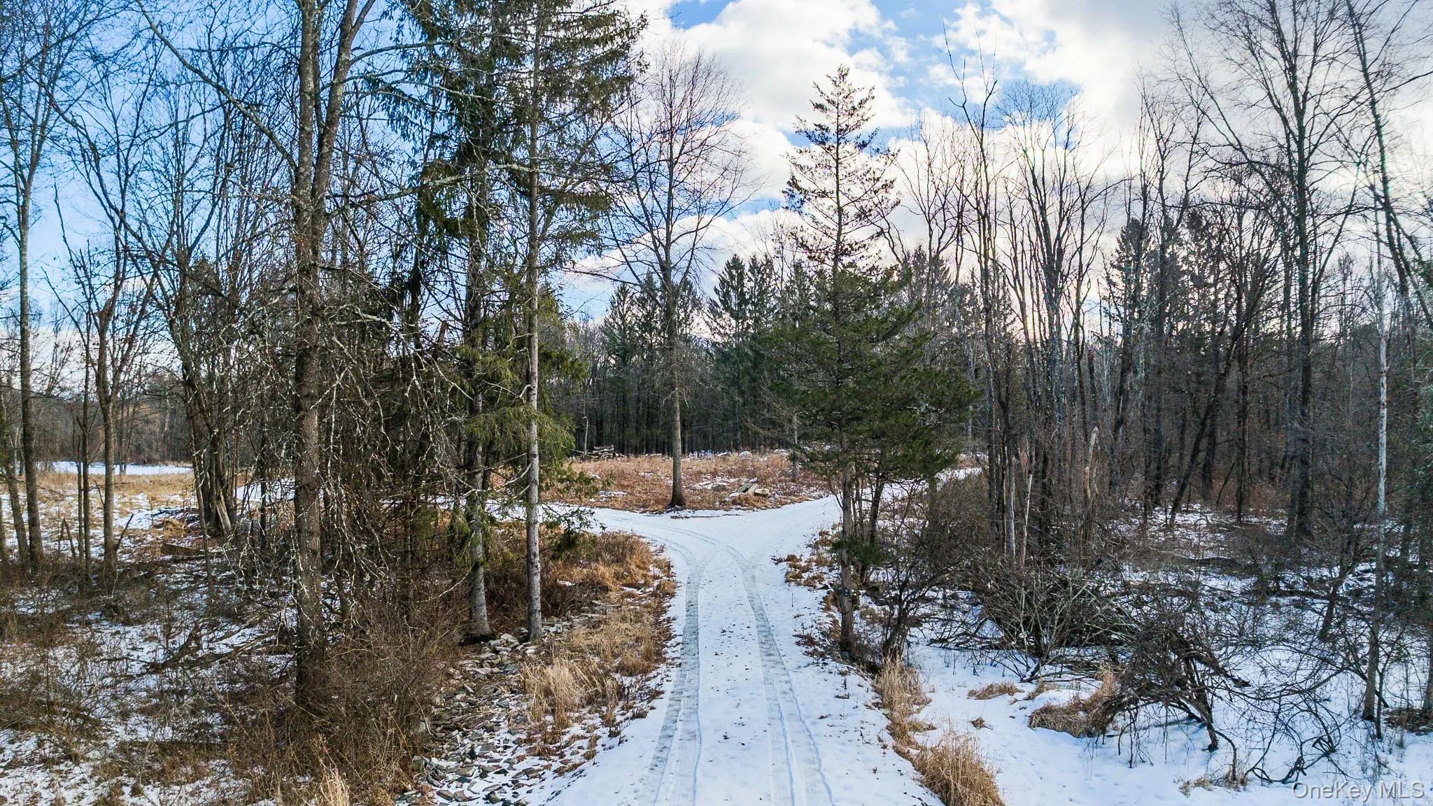 Entrance to proposed home site Entrance to proposed home site