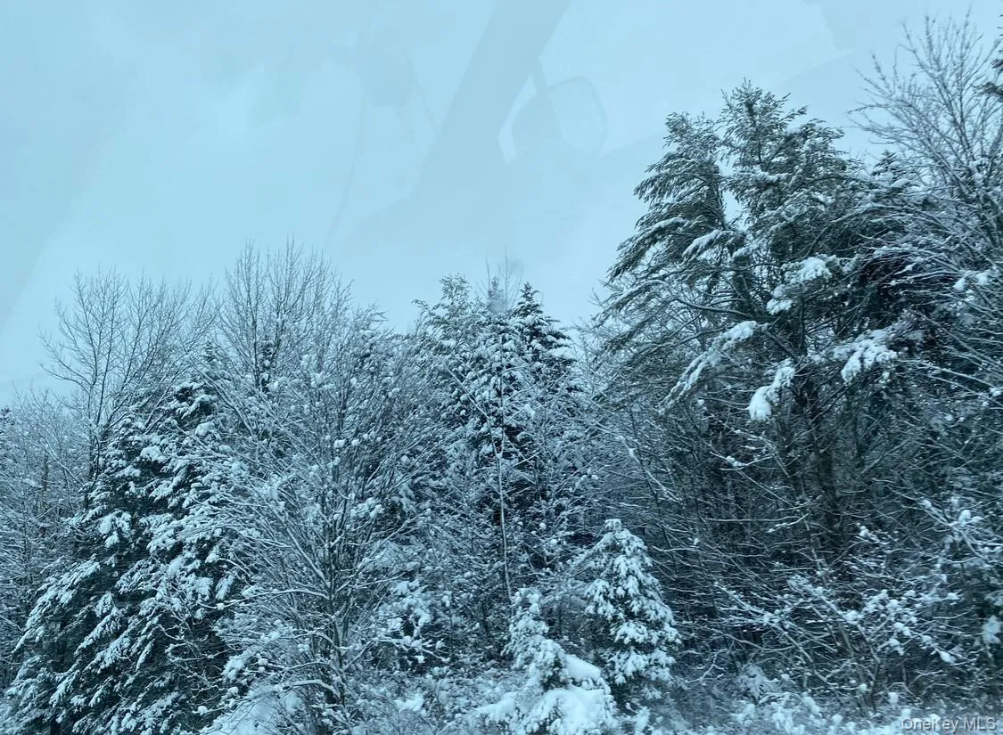 Trees give plenty of privacy and picturesque views during the winter Trees give plenty of privacy and picturesque views during the winter