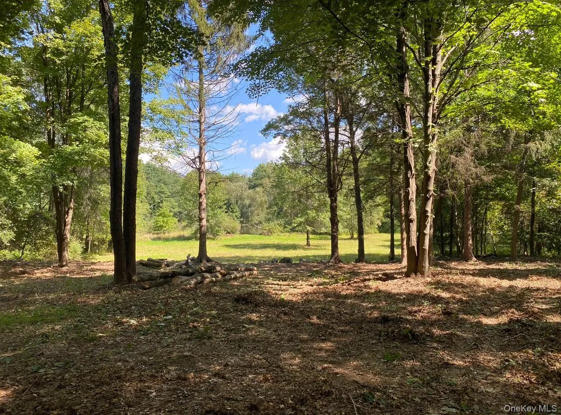 View of the pond from proposed home location View of the pond from proposed home location
