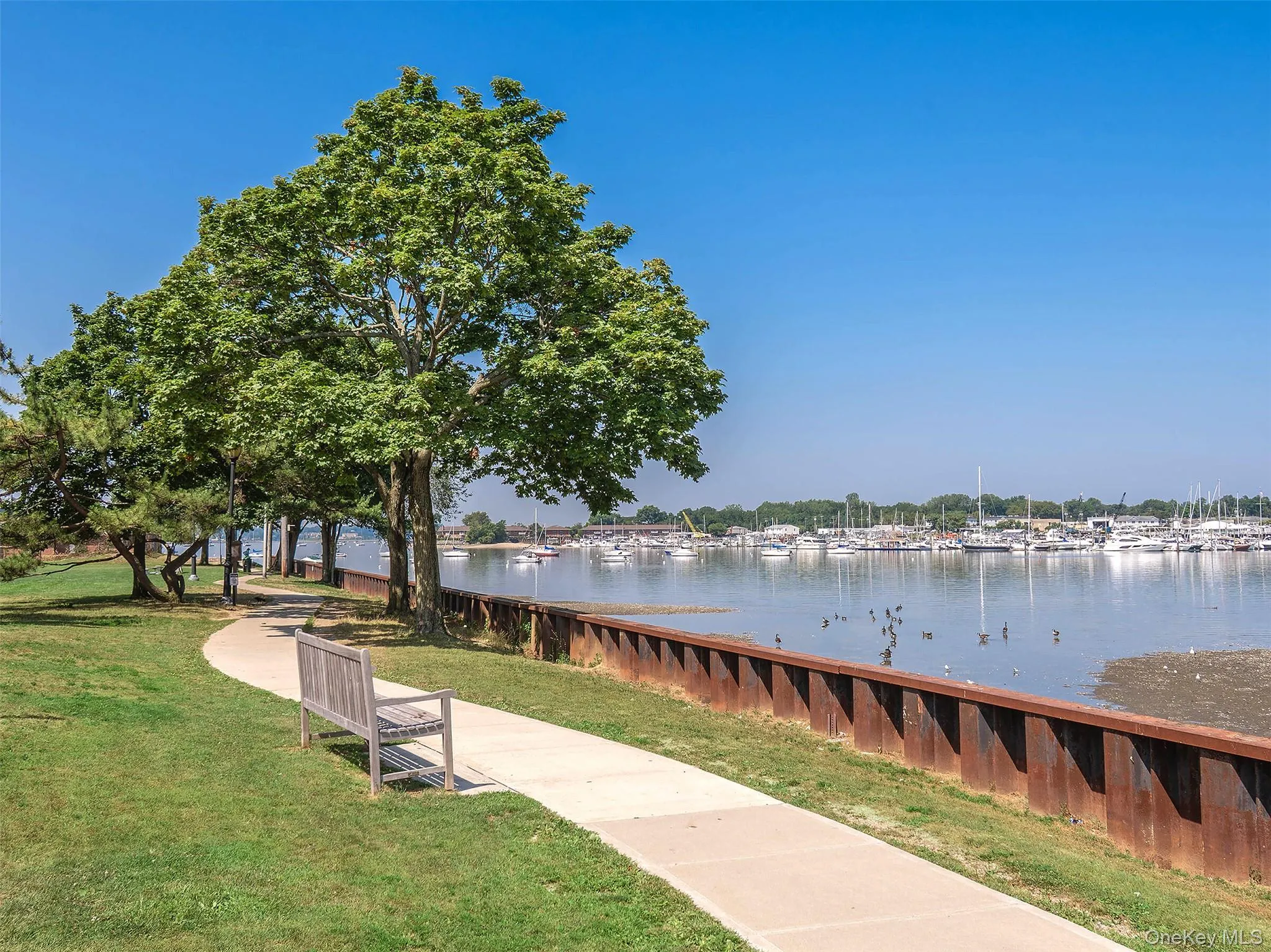 11 Shore Road, North Hempstead, NY, 2 Bedrooms Bedrooms, 4 Rooms Rooms,1 BathroomBathrooms,Residential Lease,For Rent,Shore,0,1032779 11 Shore Road, North Hempstead, NY, 2 Bedrooms Bedrooms, 4 Rooms Rooms,1 BathroomBathrooms,Residential Lease,For Rent,Shore,0,1032779
