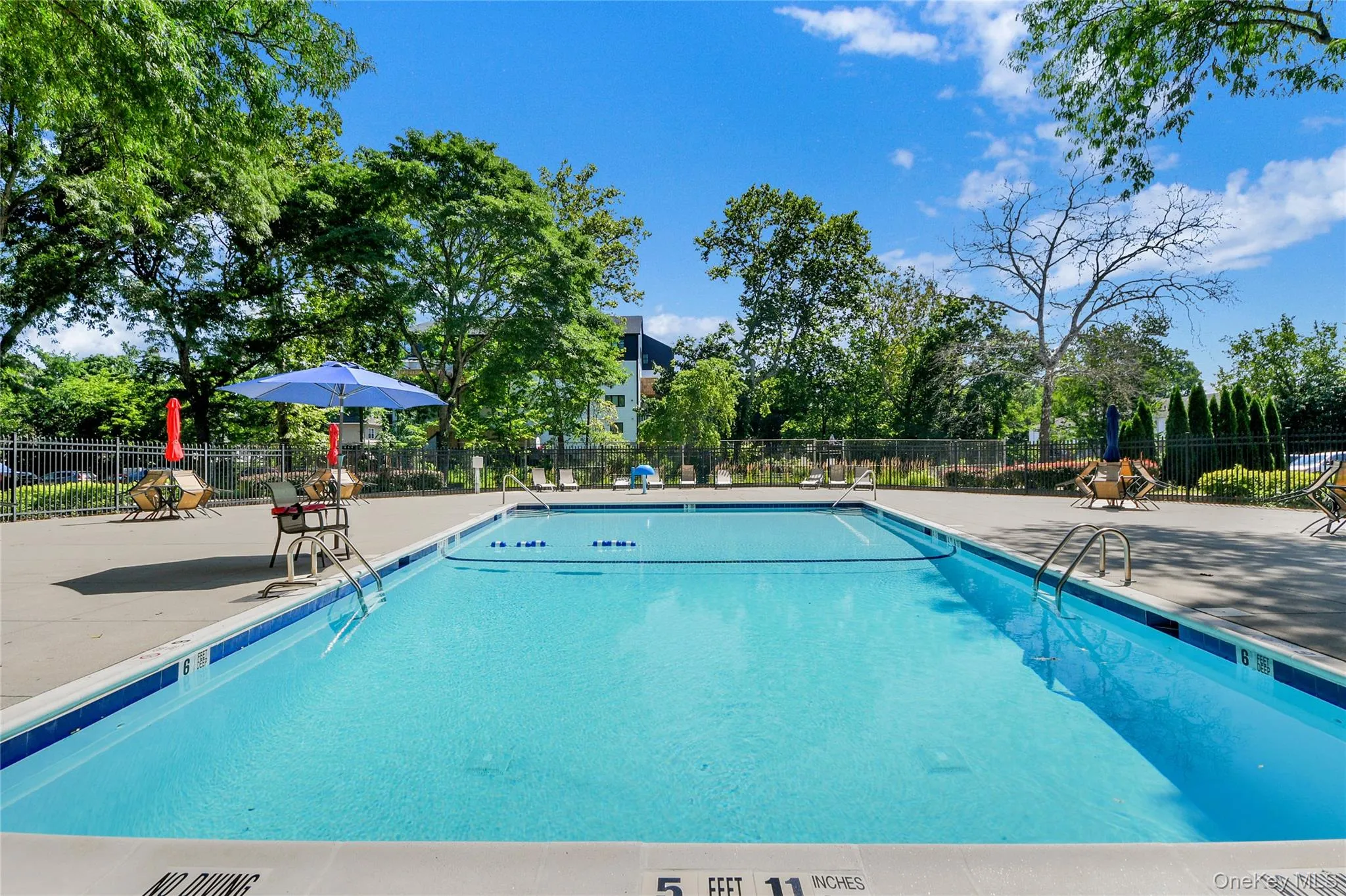 40 Cole Avenue, Ramapo, NY, 1 Bedroom Bedrooms, 4 Rooms Rooms,1 BathroomBathrooms,Residential,For Rent,Cole,0,1032855 40 Cole Avenue, Ramapo, NY, 1 Bedroom Bedrooms, 4 Rooms Rooms,1 BathroomBathrooms,Residential,For Rent,Cole,0,1032855