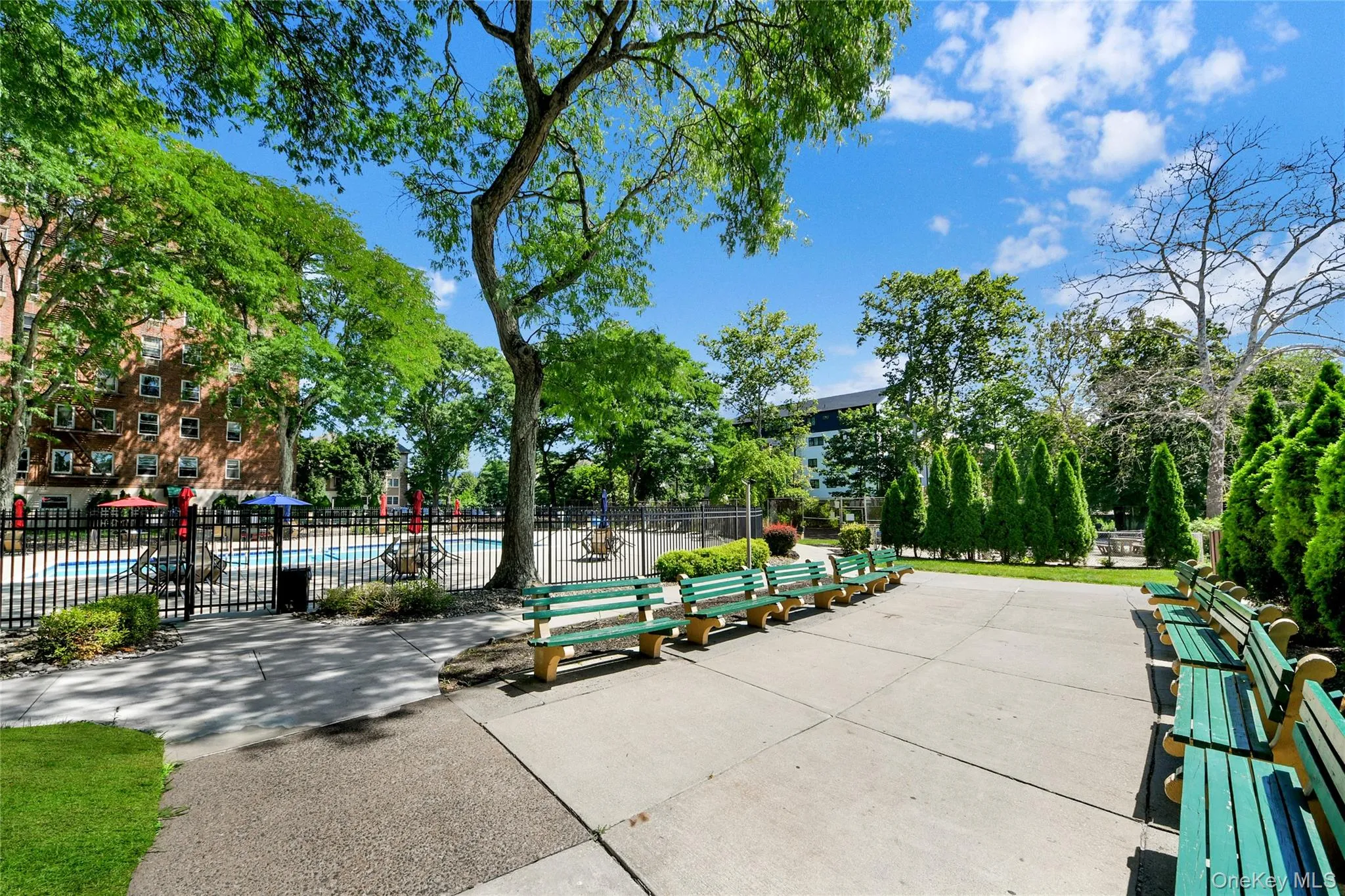 40 Cole Avenue, Ramapo, NY, 1 Bedroom Bedrooms, 4 Rooms Rooms,1 BathroomBathrooms,Residential,For Rent,Cole,0,1032855 40 Cole Avenue, Ramapo, NY, 1 Bedroom Bedrooms, 4 Rooms Rooms,1 BathroomBathrooms,Residential,For Rent,Cole,0,1032855