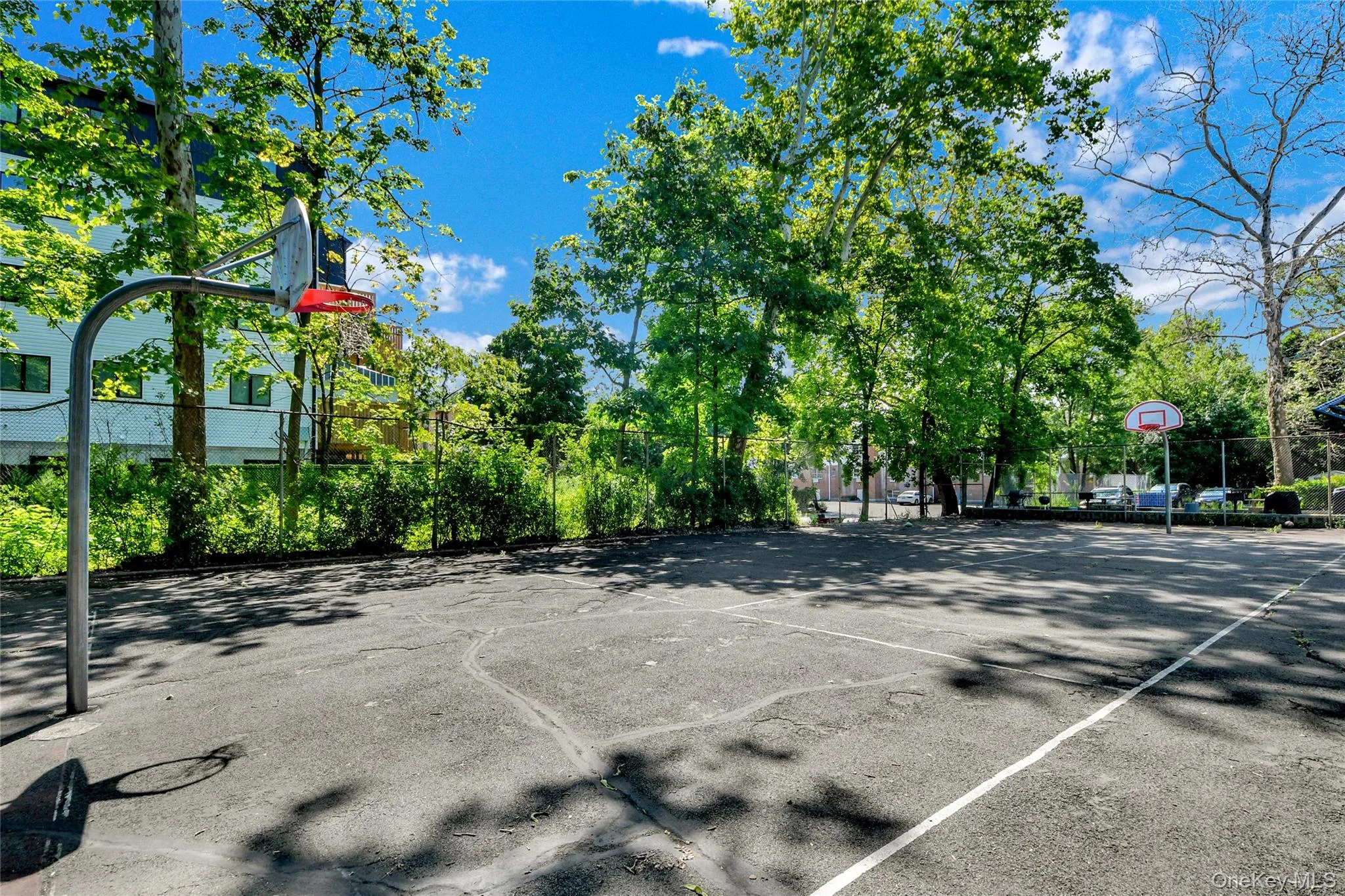 40 Cole Avenue, Ramapo, NY, 1 Bedroom Bedrooms, 4 Rooms Rooms,1 BathroomBathrooms,Residential,For Rent,Cole,0,1032855 40 Cole Avenue, Ramapo, NY, 1 Bedroom Bedrooms, 4 Rooms Rooms,1 BathroomBathrooms,Residential,For Rent,Cole,0,1032855