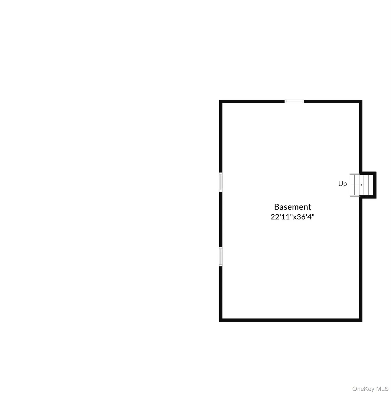 Basement Basement