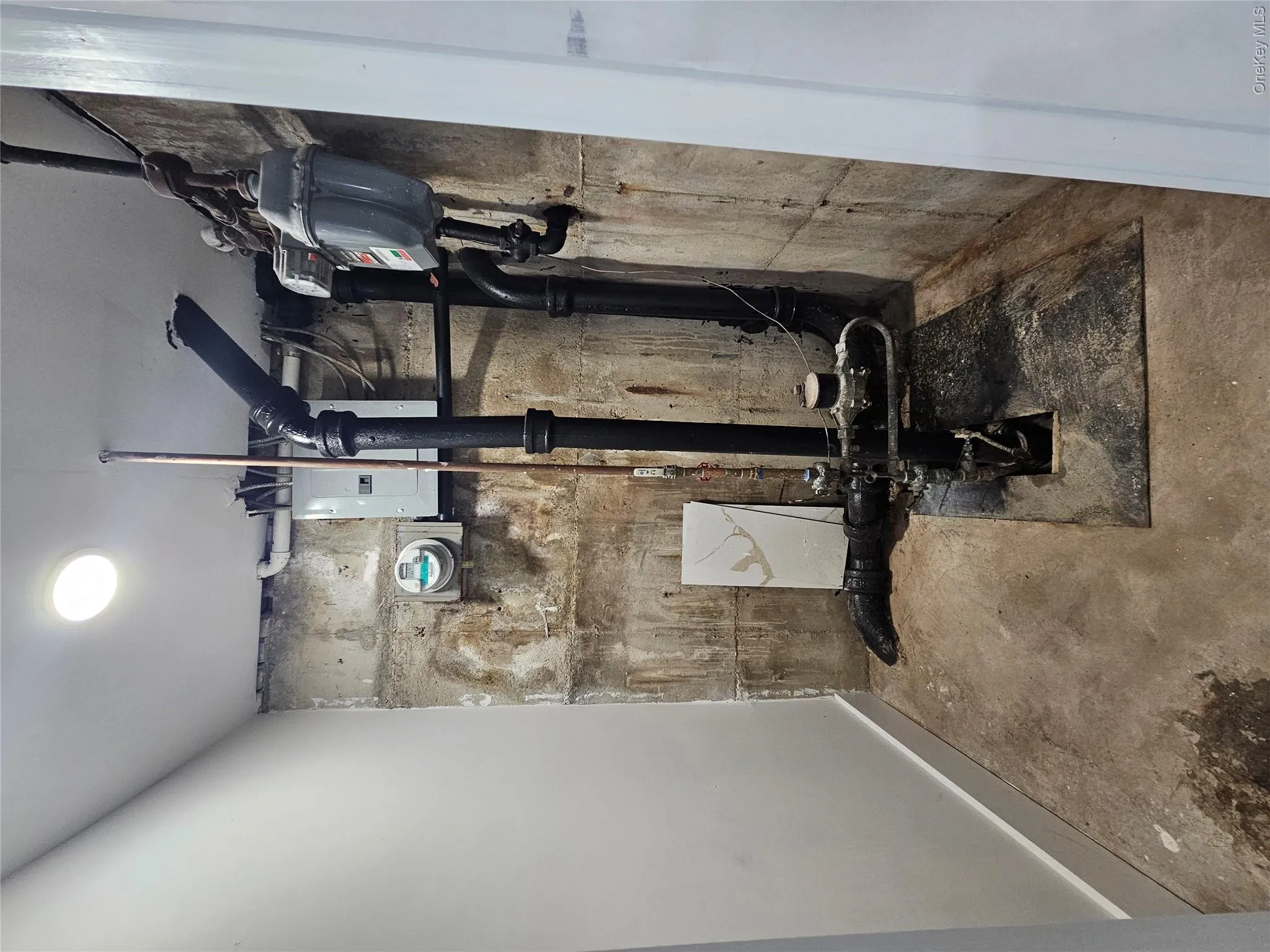 322 Wortman Avenue, New York, NY, 3 Bedrooms Bedrooms, 8 Rooms Rooms,1 BathroomBathrooms,Residential,For Rent,Wortman,0,1032870 322 Wortman Avenue, New York, NY, 3 Bedrooms Bedrooms, 8 Rooms Rooms,1 BathroomBathrooms,Residential,For Rent,Wortman,0,1032870
