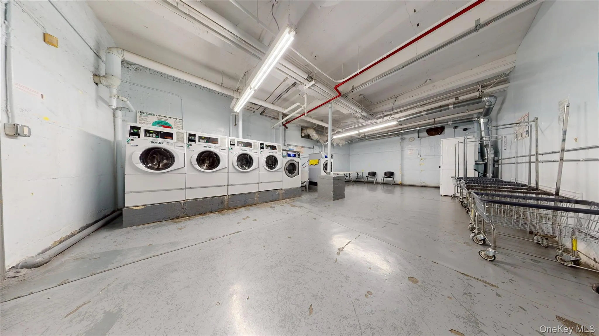 3626 Kings Highway, New York, NY, 3 Bedrooms Bedrooms, 6 Rooms Rooms,2 BathroomsBathrooms,Residential,For Rent,Kings,0,1032880 3626 Kings Highway, New York, NY, 3 Bedrooms Bedrooms, 6 Rooms Rooms,2 BathroomsBathrooms,Residential,For Rent,Kings,0,1032880
