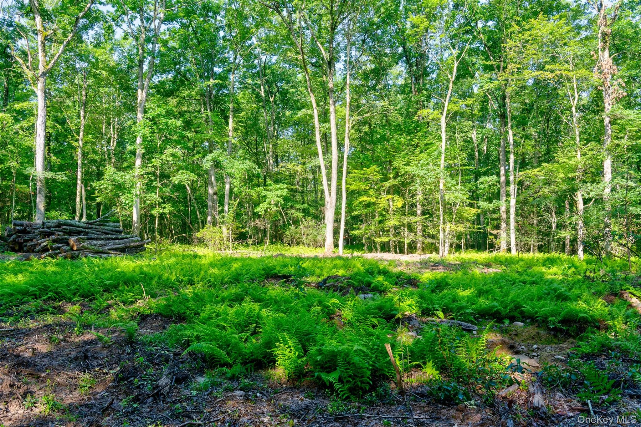 Lot 23 Perry Pond Road, Tusten, NY, ,Land,For Rent,Perry Pond,0,1032899 Lot 23 Perry Pond Road, Tusten, NY, ,Land,For Rent,Perry Pond,0,1032899
