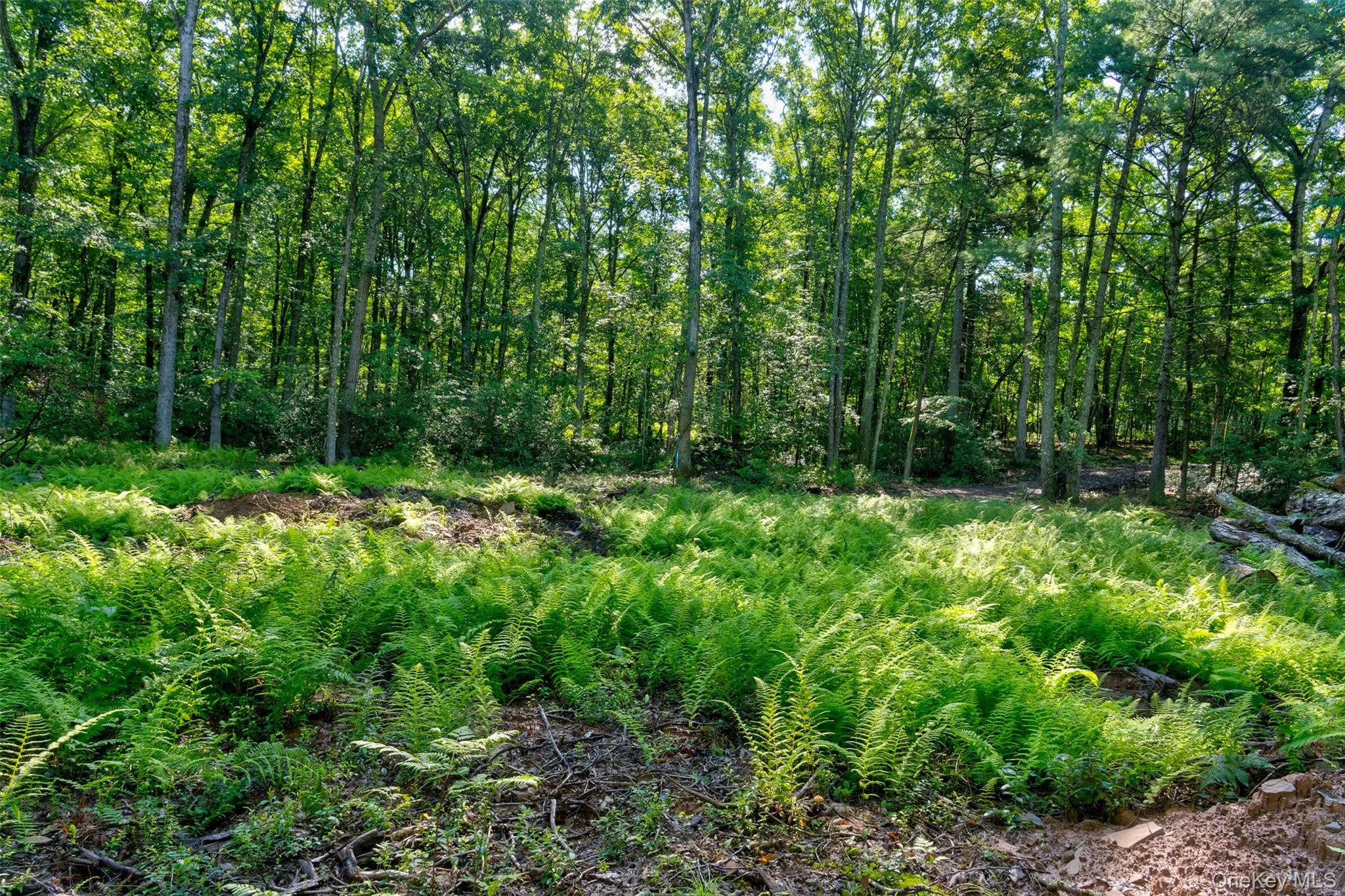 Lot 23 Perry Pond Road, Tusten, NY, ,Land,For Rent,Perry Pond,0,1032899 Lot 23 Perry Pond Road, Tusten, NY, ,Land,For Rent,Perry Pond,0,1032899
