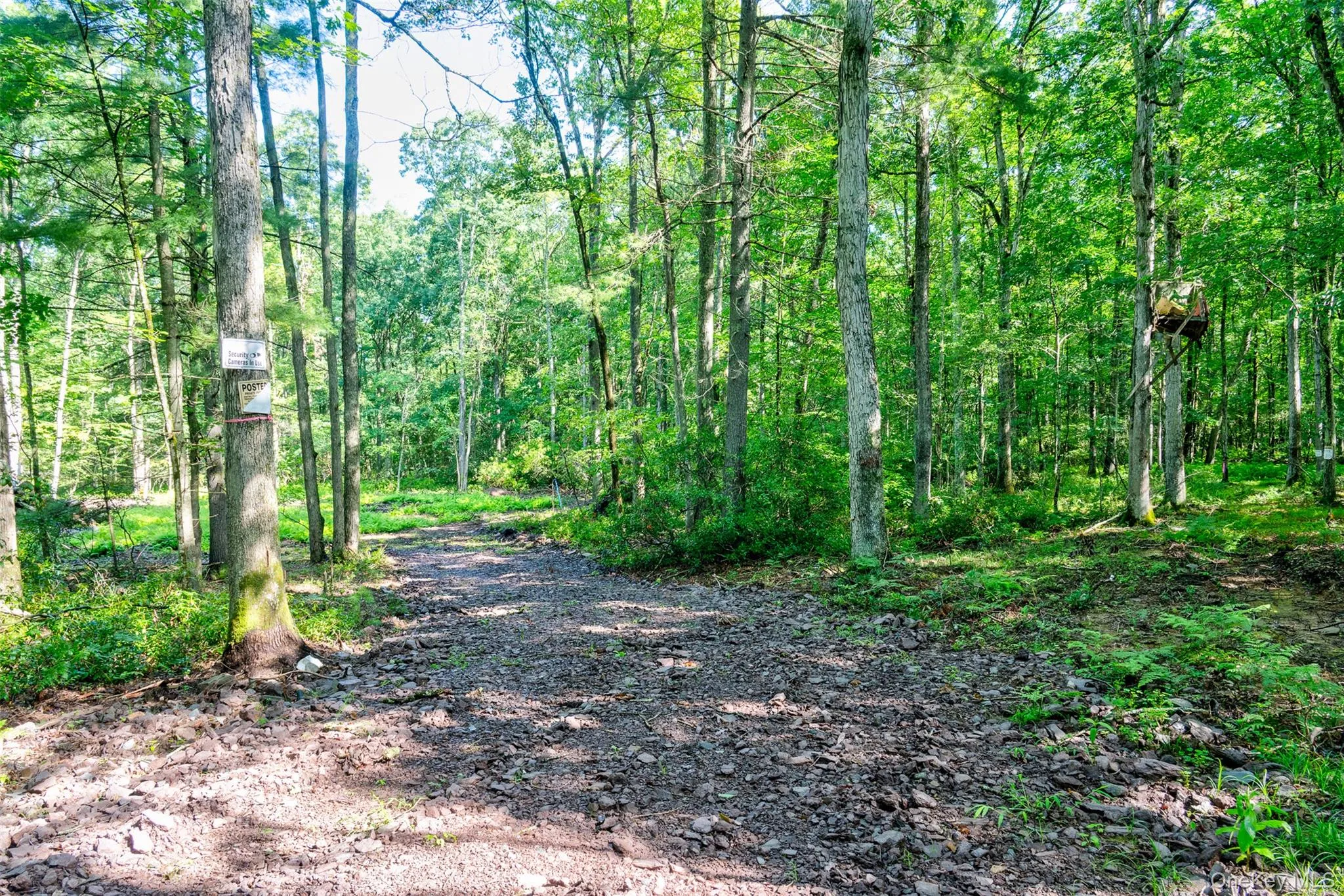 Lot 23 Perry Pond Road, Tusten, NY, ,Land,For Rent,Perry Pond,0,1032899 Lot 23 Perry Pond Road, Tusten, NY, ,Land,For Rent,Perry Pond,0,1032899