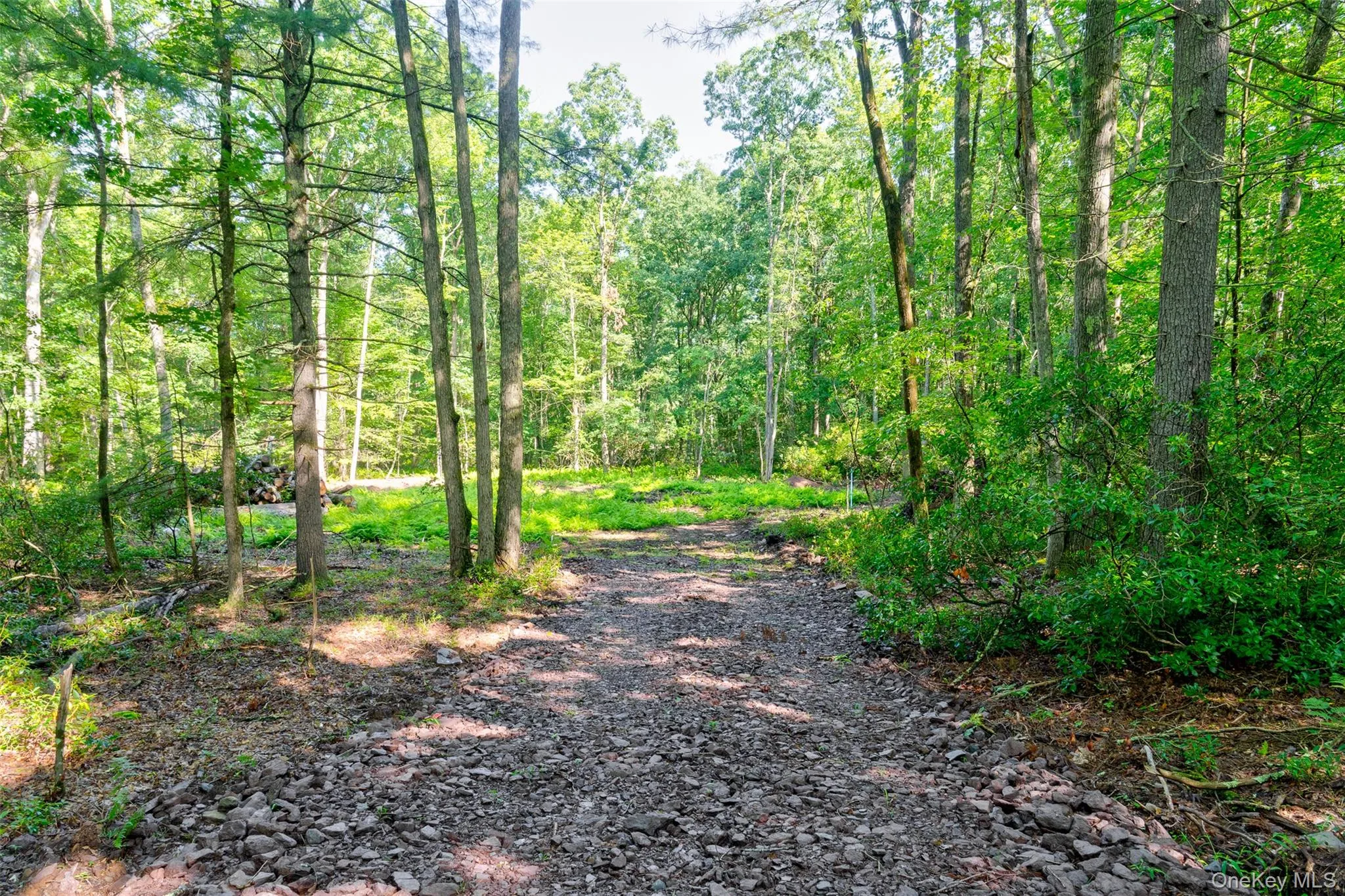 Lot 23 Perry Pond Road, Tusten, NY, ,Land,For Rent,Perry Pond,0,1032899 Lot 23 Perry Pond Road, Tusten, NY, ,Land,For Rent,Perry Pond,0,1032899