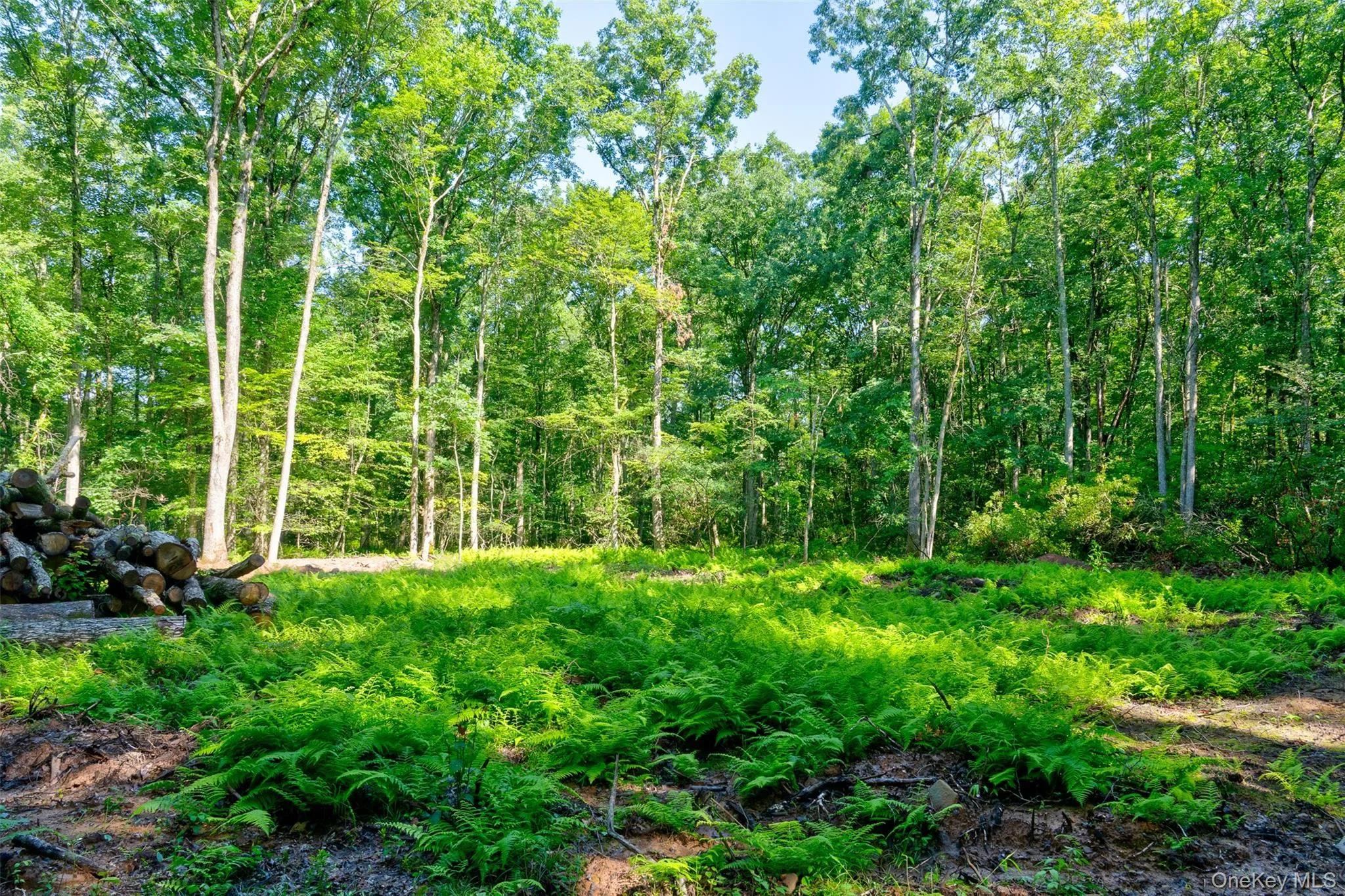 Lot 23 Perry Pond Road, Tusten, NY, ,Land,For Rent,Perry Pond,0,1032899 Lot 23 Perry Pond Road, Tusten, NY, ,Land,For Rent,Perry Pond,0,1032899