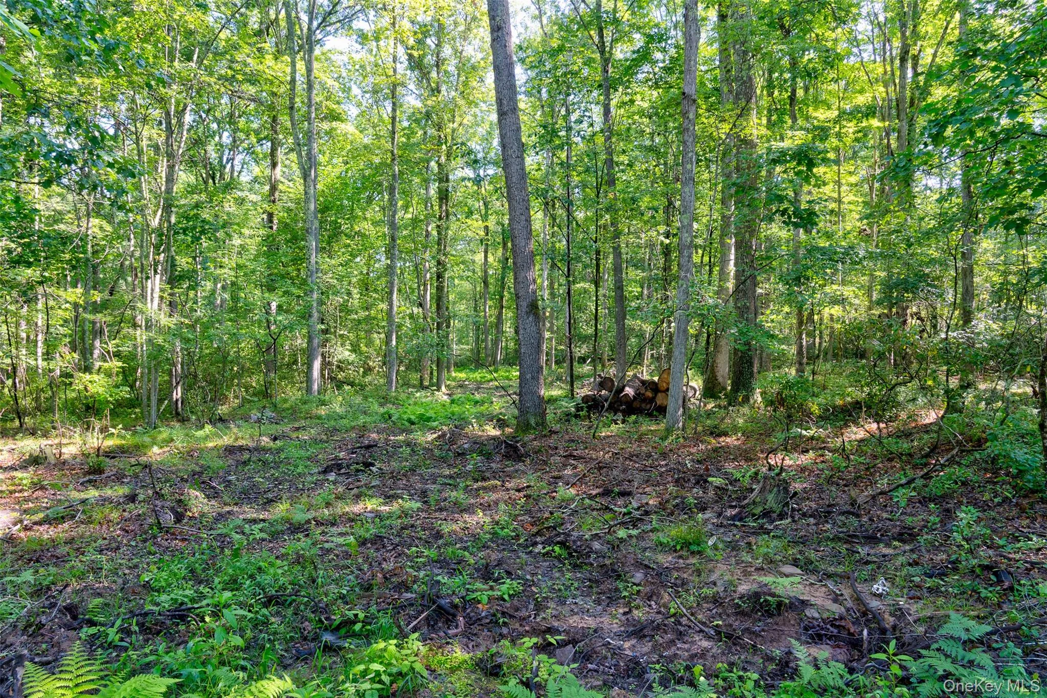 Lot 23 Perry Pond Road, Tusten, NY, ,Land,For Rent,Perry Pond,0,1032899 Lot 23 Perry Pond Road, Tusten, NY, ,Land,For Rent,Perry Pond,0,1032899
