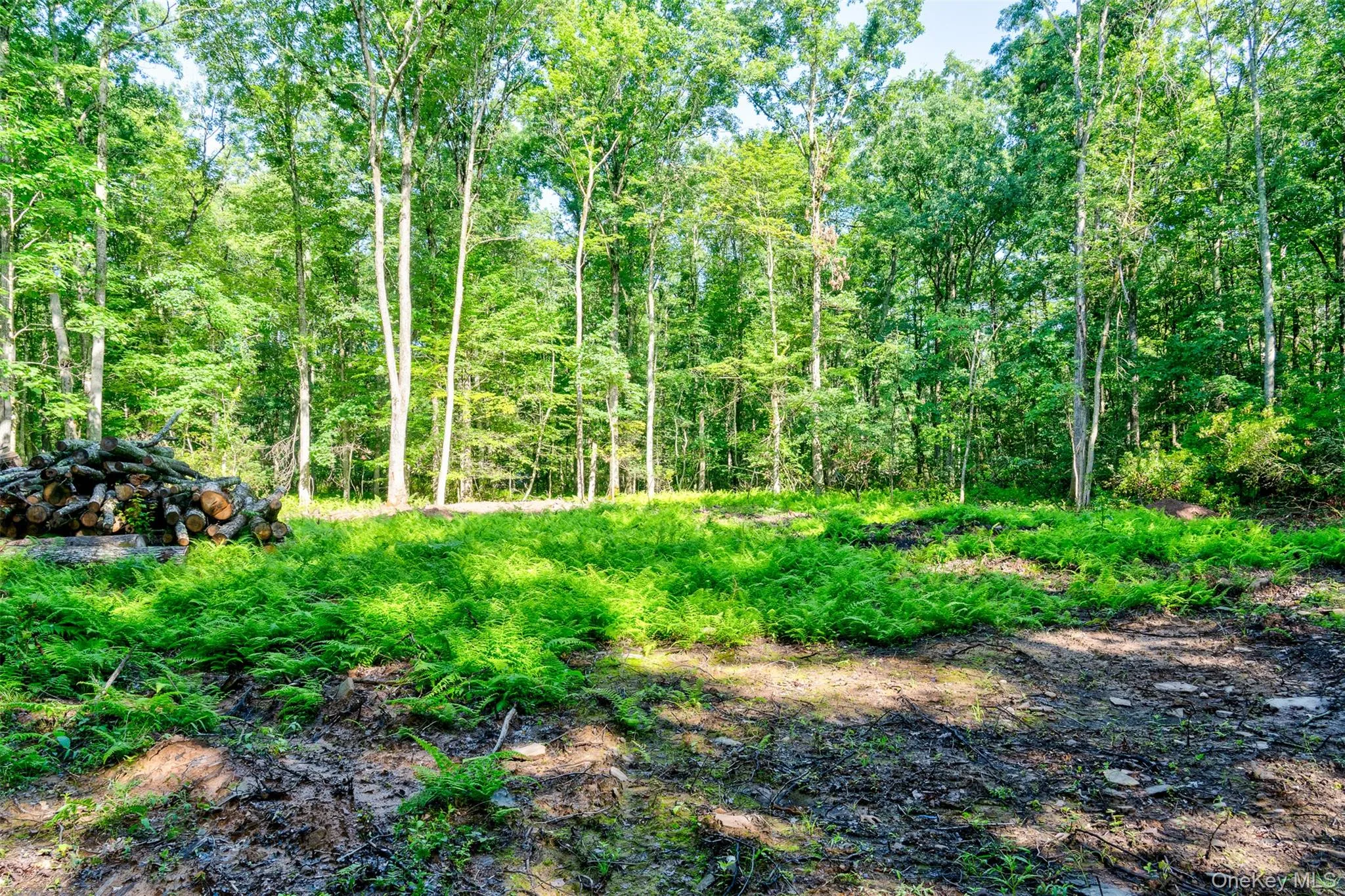 Lot 23 Perry Pond Road, Tusten, NY, ,Land,For Rent,Perry Pond,0,1032899 Lot 23 Perry Pond Road, Tusten, NY, ,Land,For Rent,Perry Pond,0,1032899