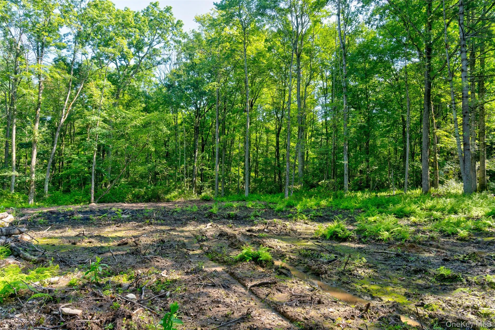 Lot 22 Perry Pond Road, Tusten, NY, ,Land,For Rent,Perry Pond,0,1032901 Lot 22 Perry Pond Road, Tusten, NY, ,Land,For Rent,Perry Pond,0,1032901