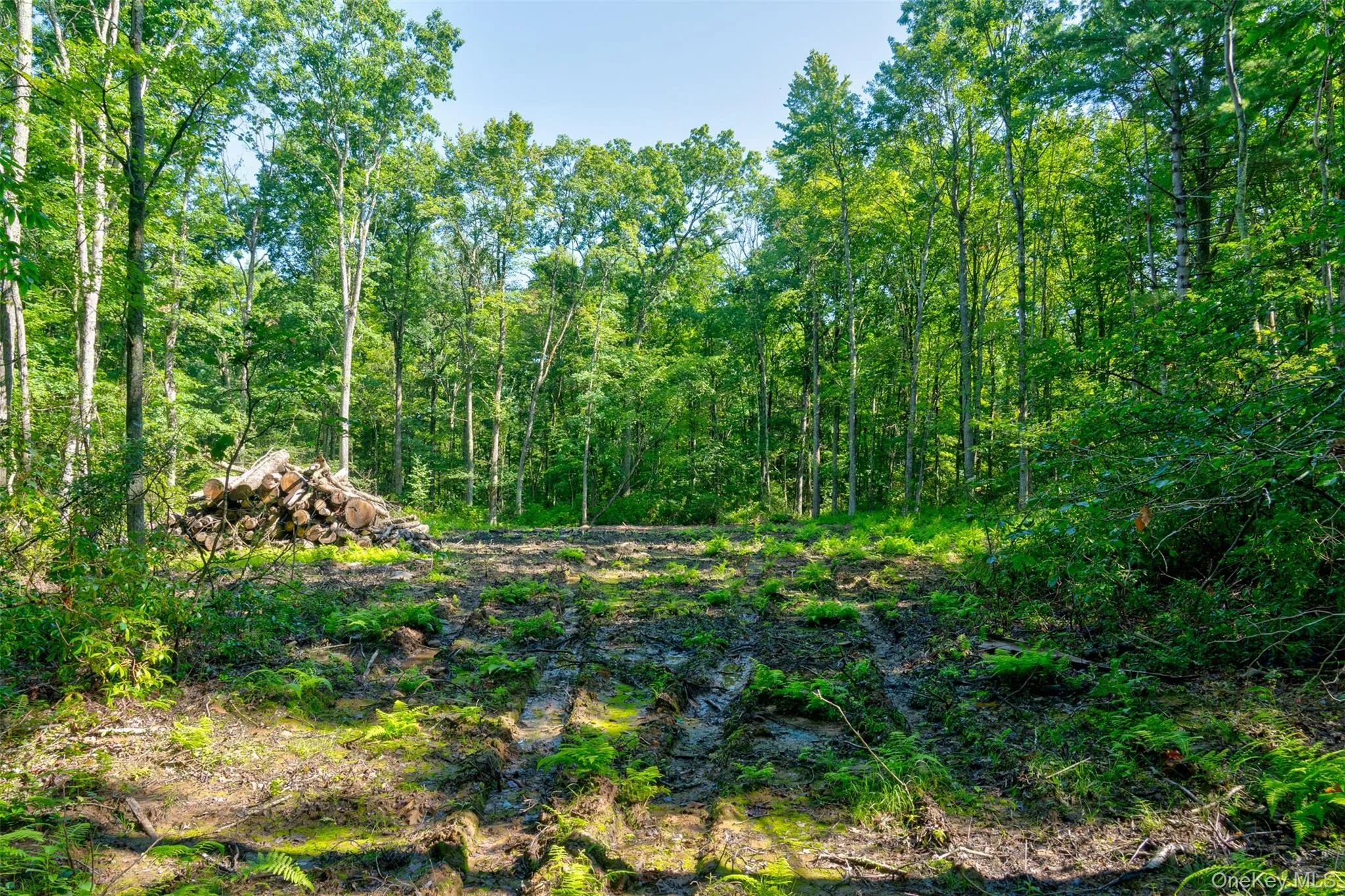 Lot 22 Perry Pond Road, Tusten, NY, ,Land,For Rent,Perry Pond,0,1032901 Lot 22 Perry Pond Road, Tusten, NY, ,Land,For Rent,Perry Pond,0,1032901