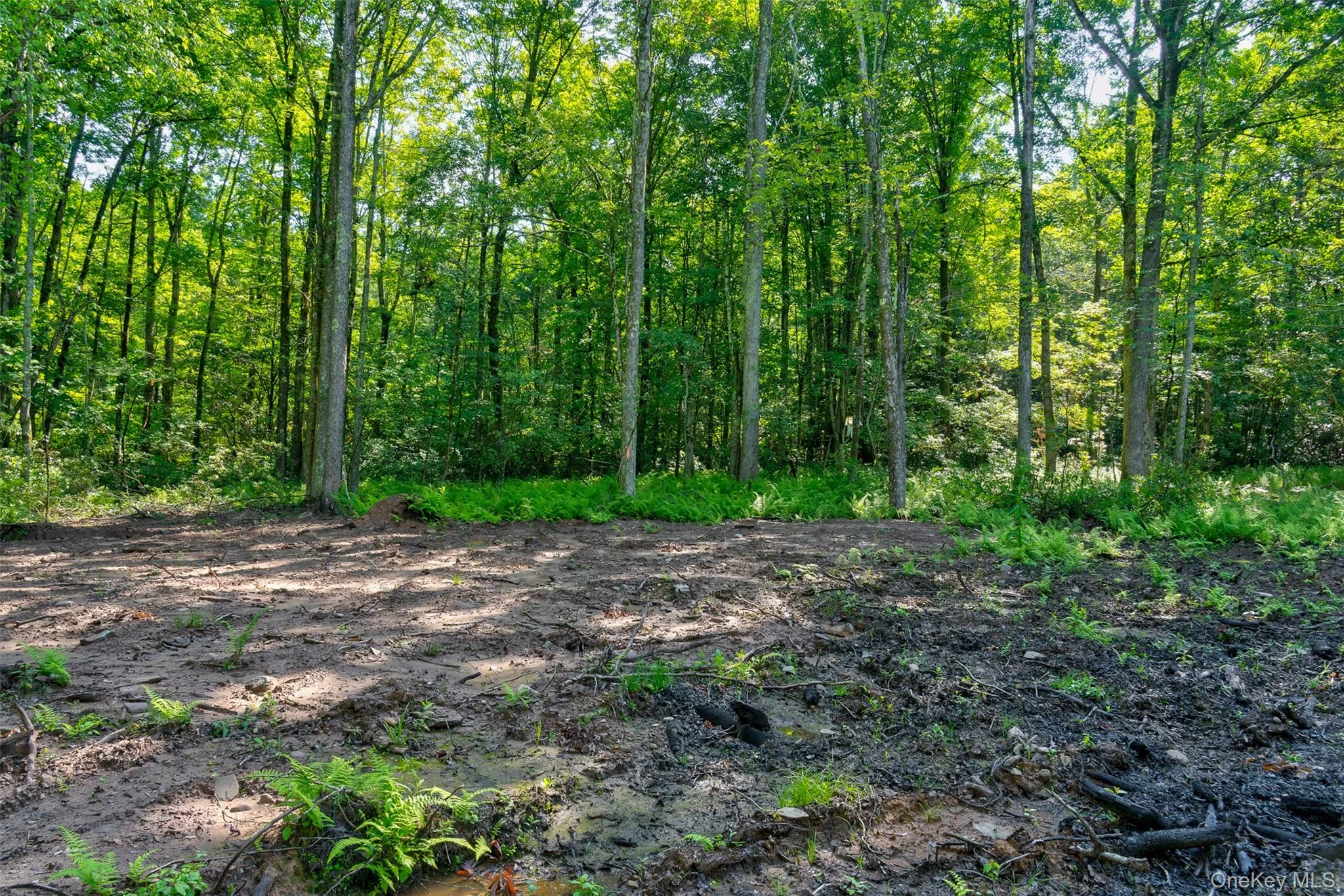 Lot 22 Perry Pond Road, Tusten, NY, ,Land,For Rent,Perry Pond,0,1032901 Lot 22 Perry Pond Road, Tusten, NY, ,Land,For Rent,Perry Pond,0,1032901