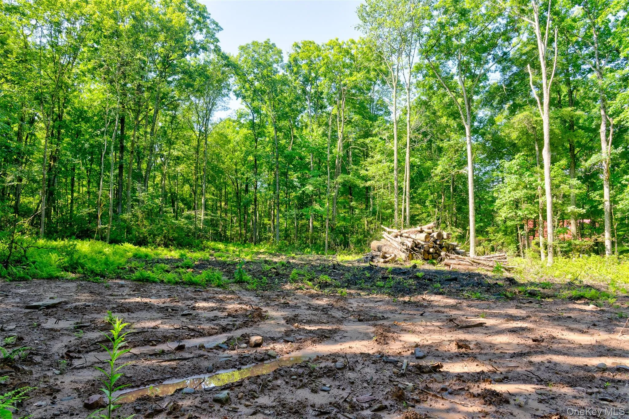 Lot 22 Perry Pond Road, Tusten, NY, ,Land,For Rent,Perry Pond,0,1032901 Lot 22 Perry Pond Road, Tusten, NY, ,Land,For Rent,Perry Pond,0,1032901